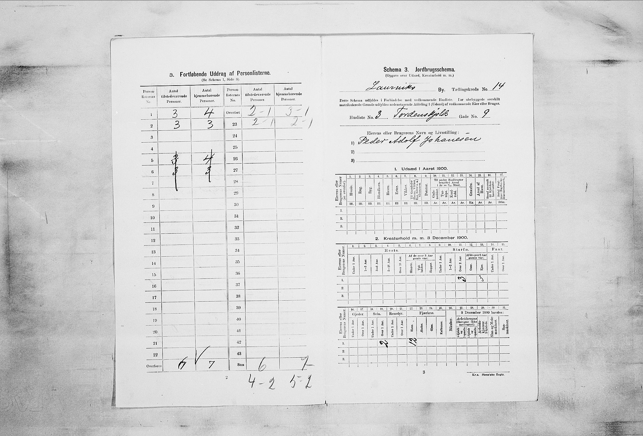 RA, 1900 census for Larvik, 1900, p. 1331