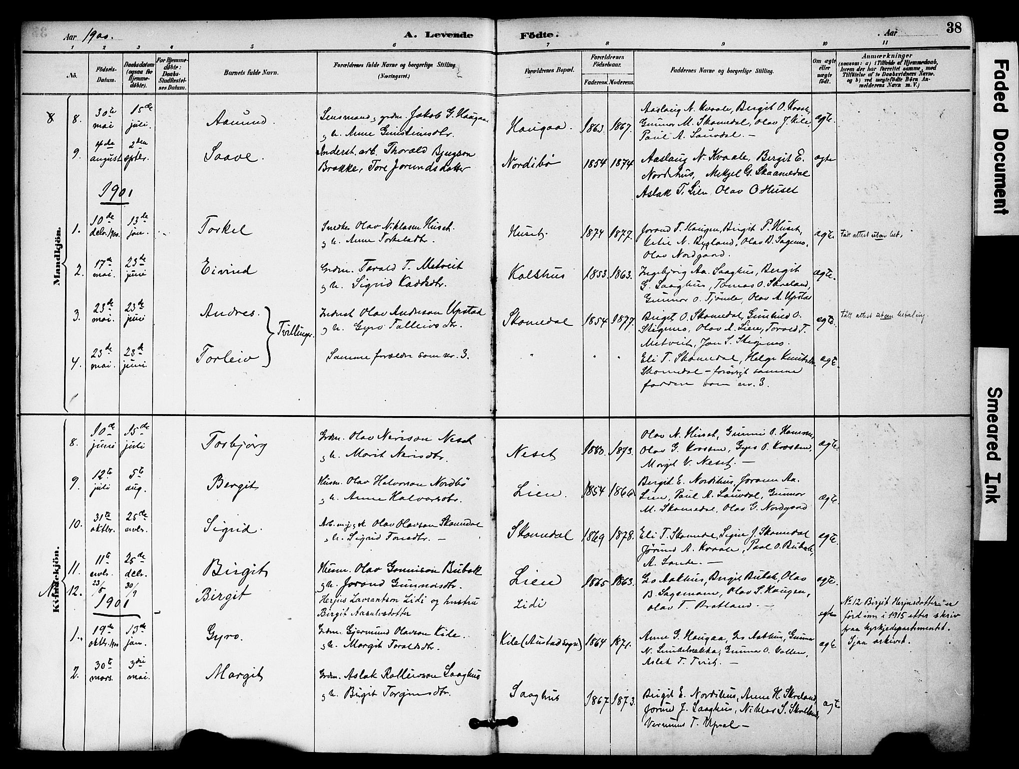 Bygland sokneprestkontor, SAK/1111-0006/F/Fa/Fab/L0007: Parish register (official) no. A 7, 1885-1909, p. 38