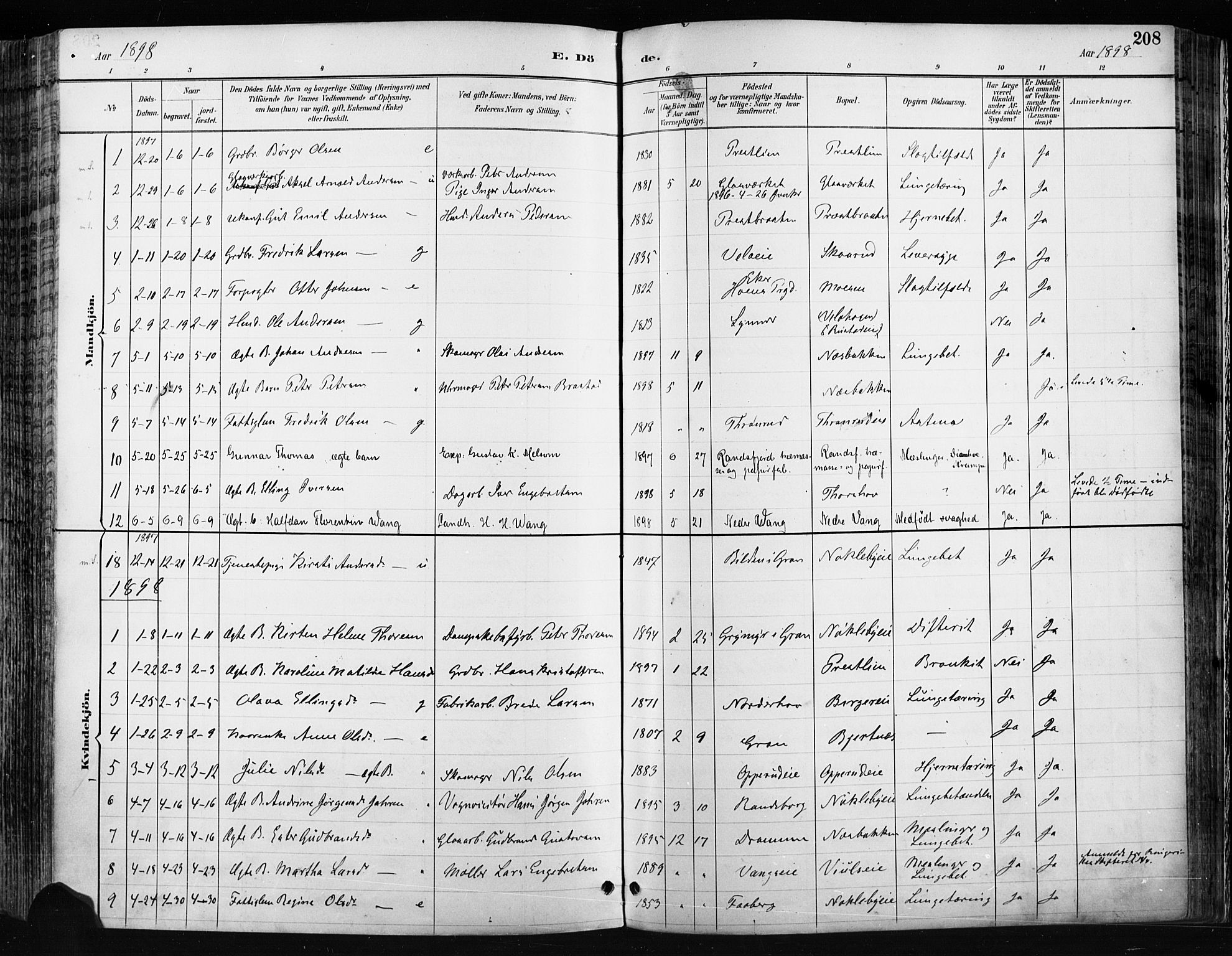 Jevnaker prestekontor, SAH/PREST-116/H/Ha/Haa/L0009: Parish register (official) no. 9, 1891-1901, p. 208