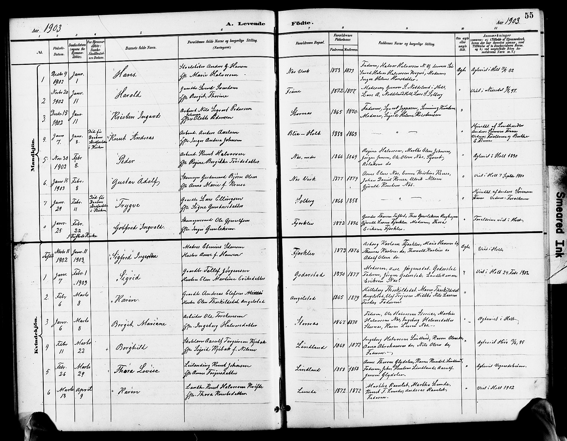 Holt sokneprestkontor, SAK/1111-0021/F/Fb/L0011: Parish register (copy) no. B 11, 1897-1921, p. 55