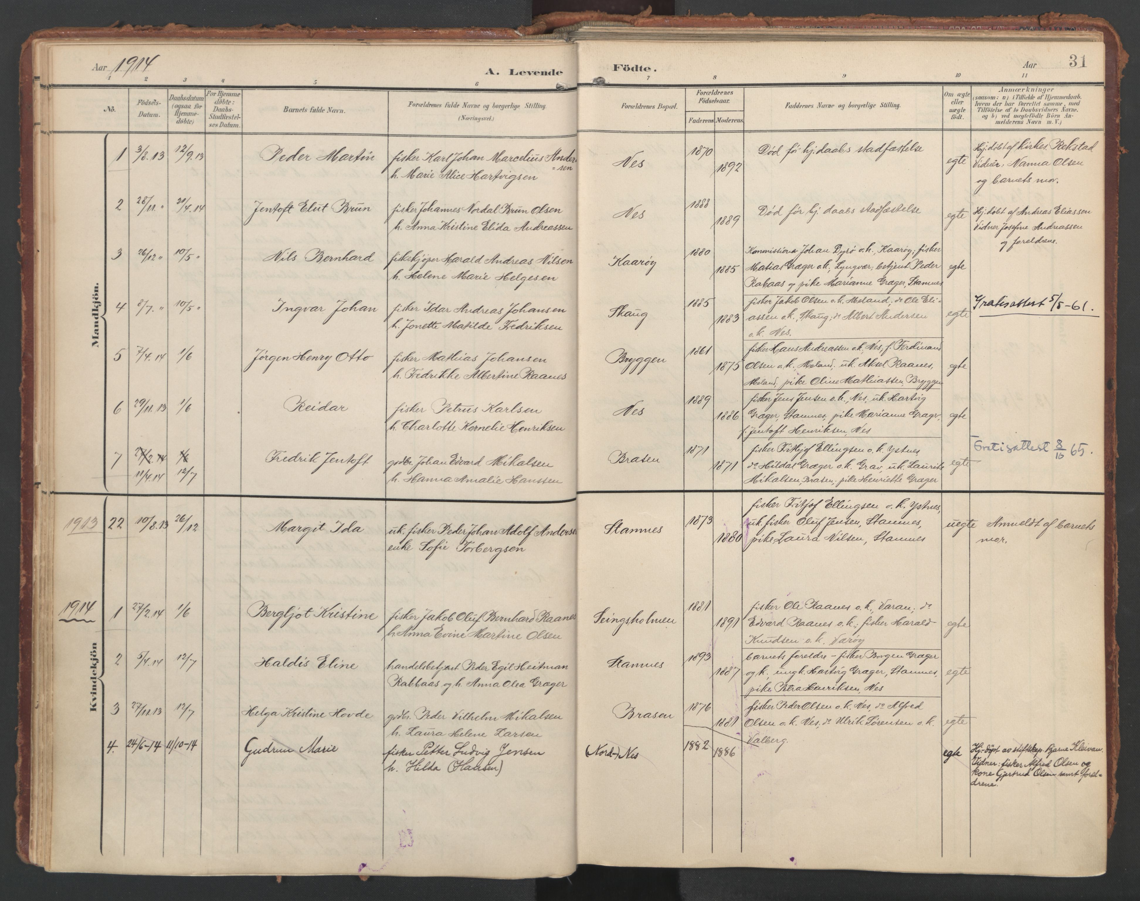 Ministerialprotokoller, klokkerbøker og fødselsregistre - Nordland, SAT/A-1459/808/L0129: Parish register (official) no. 808A02, 1903-1931, p. 31