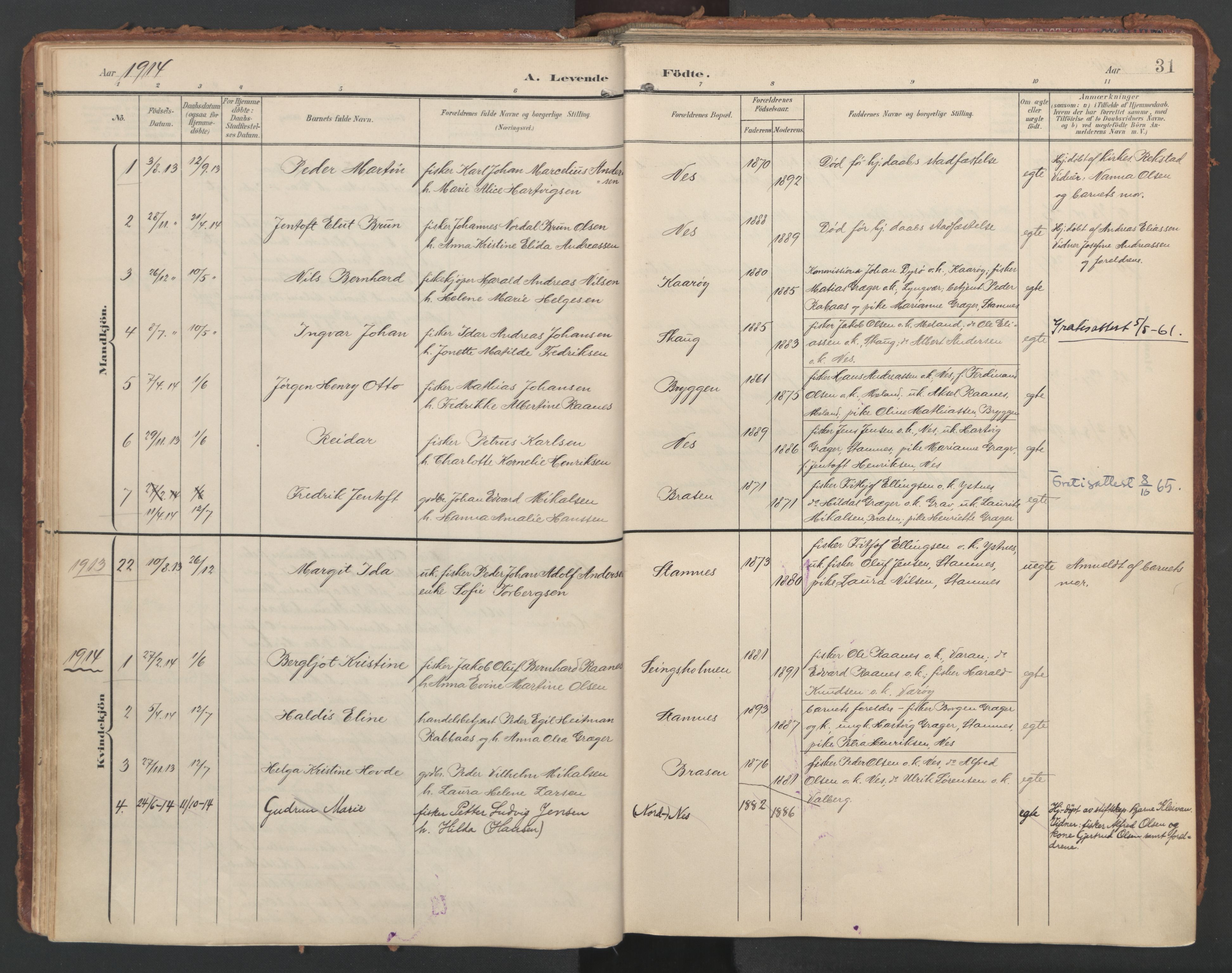 Ministerialprotokoller, klokkerbøker og fødselsregistre - Nordland, AV/SAT-A-1459/808/L0129: Parish register (official) no. 808A02, 1903-1931, p. 31