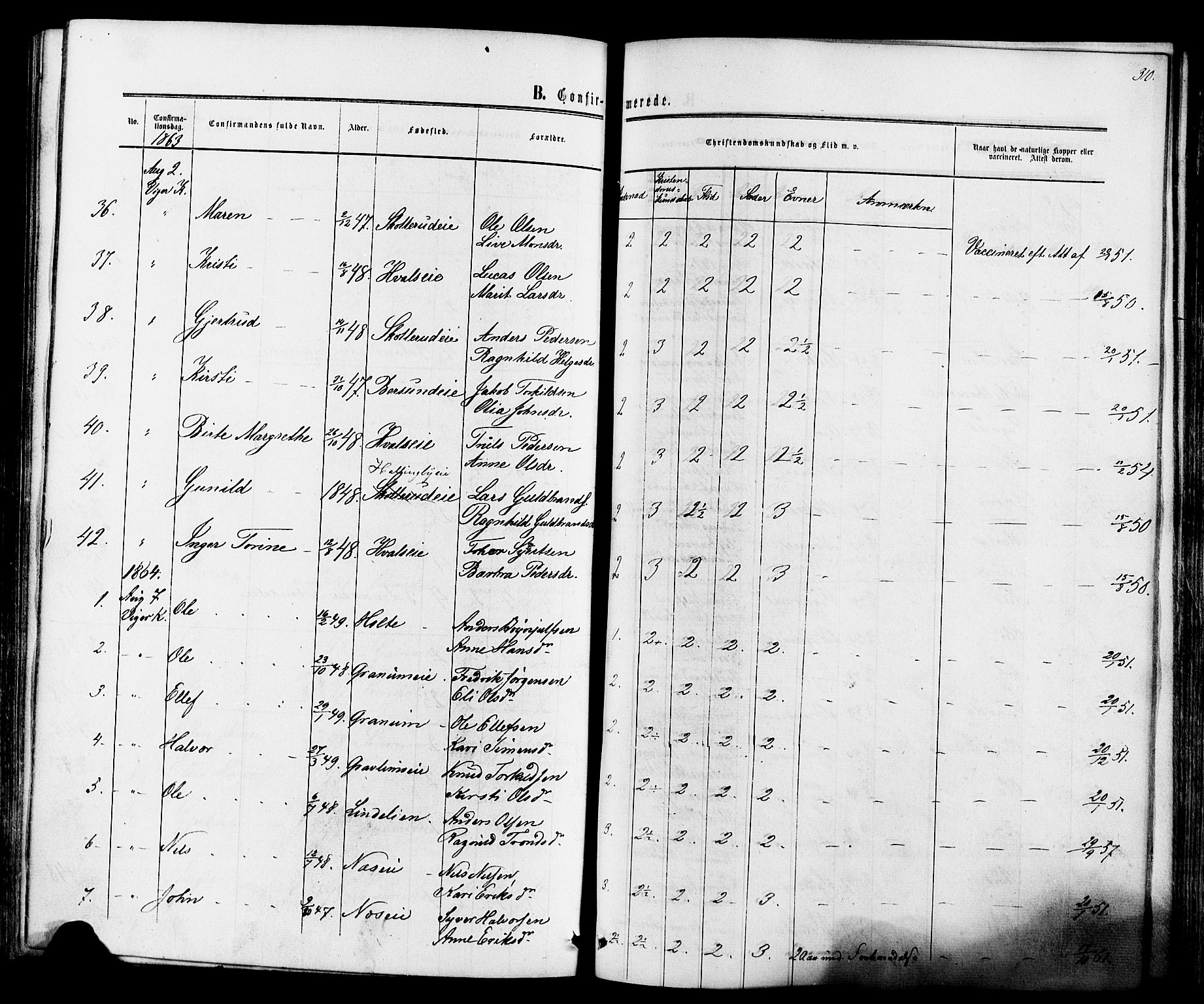 Ådal kirkebøker, SAKO/A-248/F/Fa/L0001: Parish register (official) no. I 1, 1857-1883, p. 310