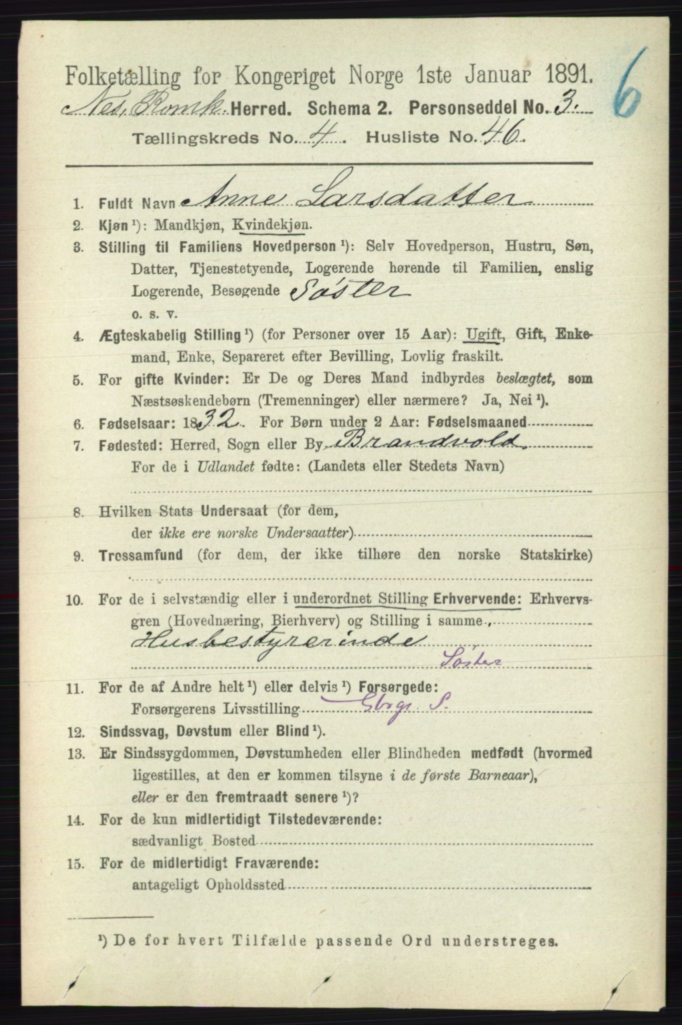 RA, 1891 census for 0236 Nes, 1891, p. 2519
