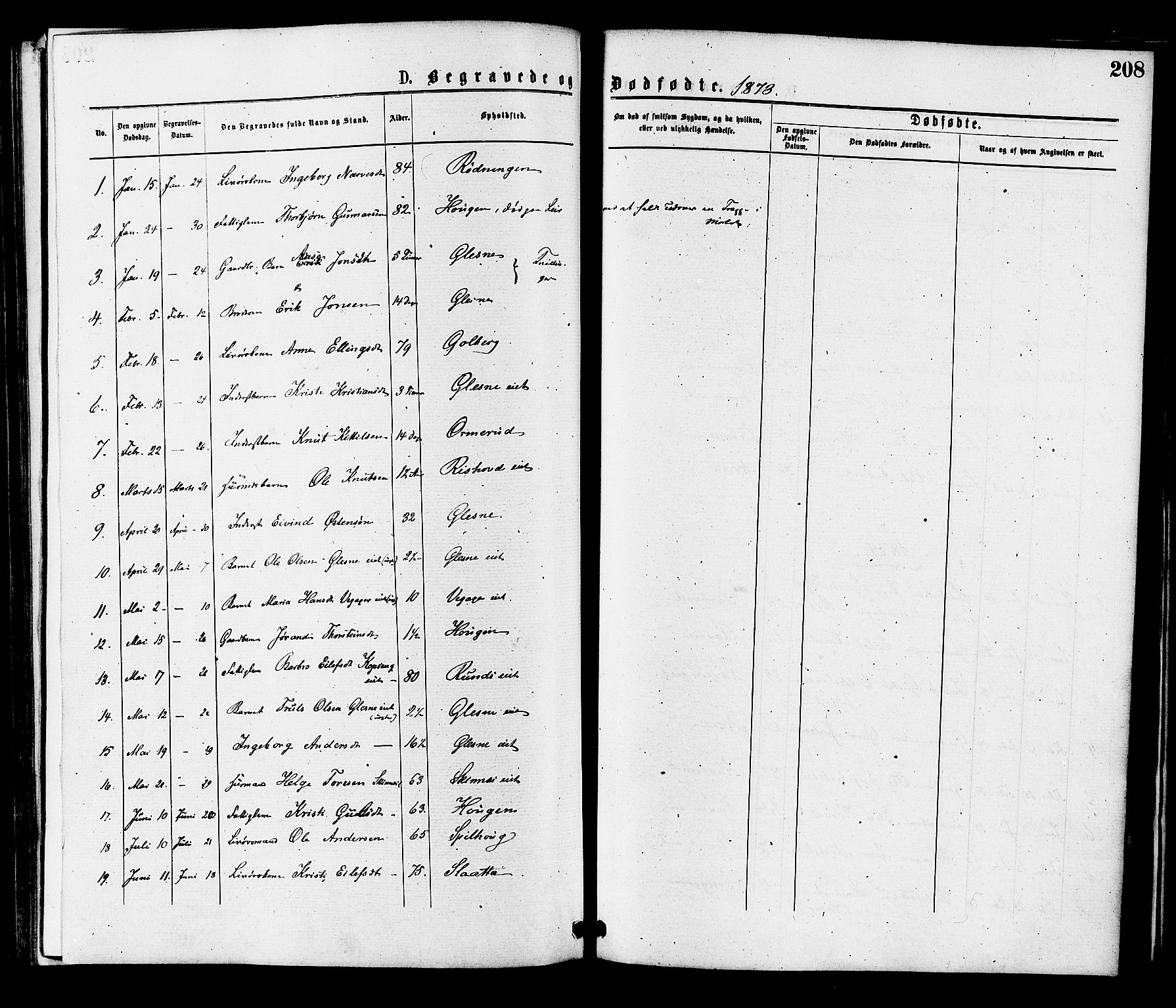 Krødsherad kirkebøker, AV/SAKO-A-19/F/Fa/L0004: Parish register (official) no. 4, 1873-1878, p. 208