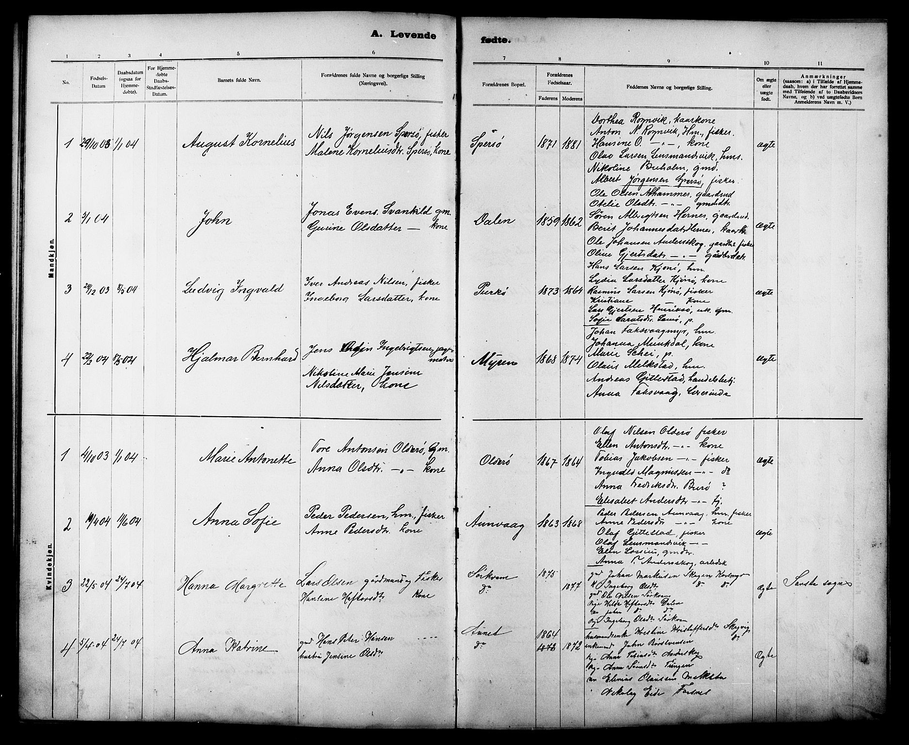 Ministerialprotokoller, klokkerbøker og fødselsregistre - Sør-Trøndelag, AV/SAT-A-1456/635/L0553: Parish register (copy) no. 635C01, 1898-1919