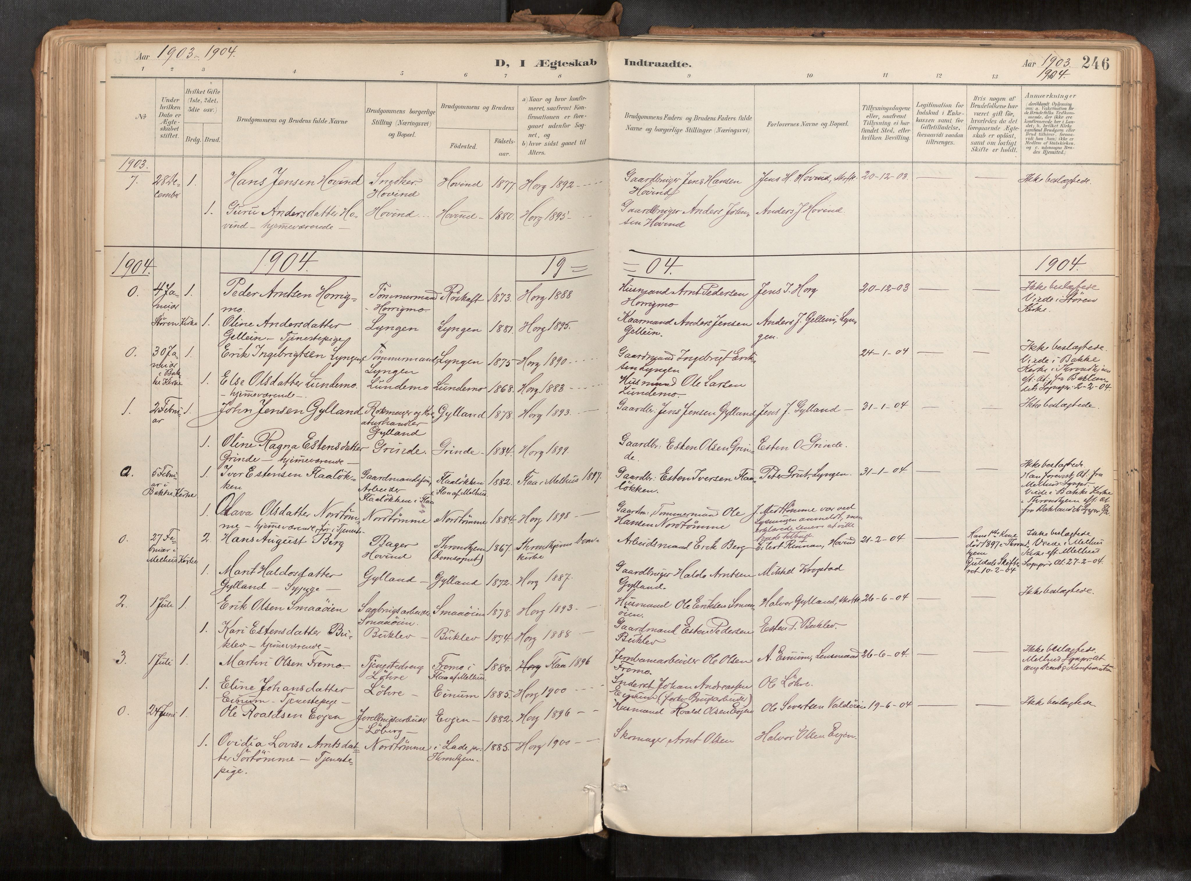 Ministerialprotokoller, klokkerbøker og fødselsregistre - Sør-Trøndelag, SAT/A-1456/692/L1105b: Parish register (official) no. 692A06, 1891-1934, p. 246