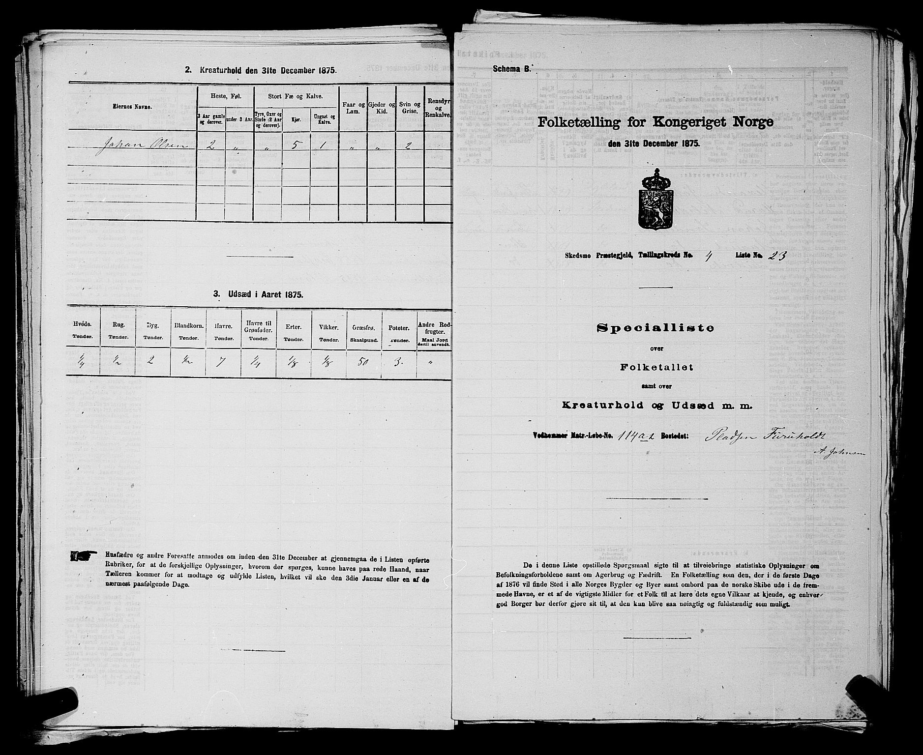 RA, 1875 census for 0231P Skedsmo, 1875, p. 555