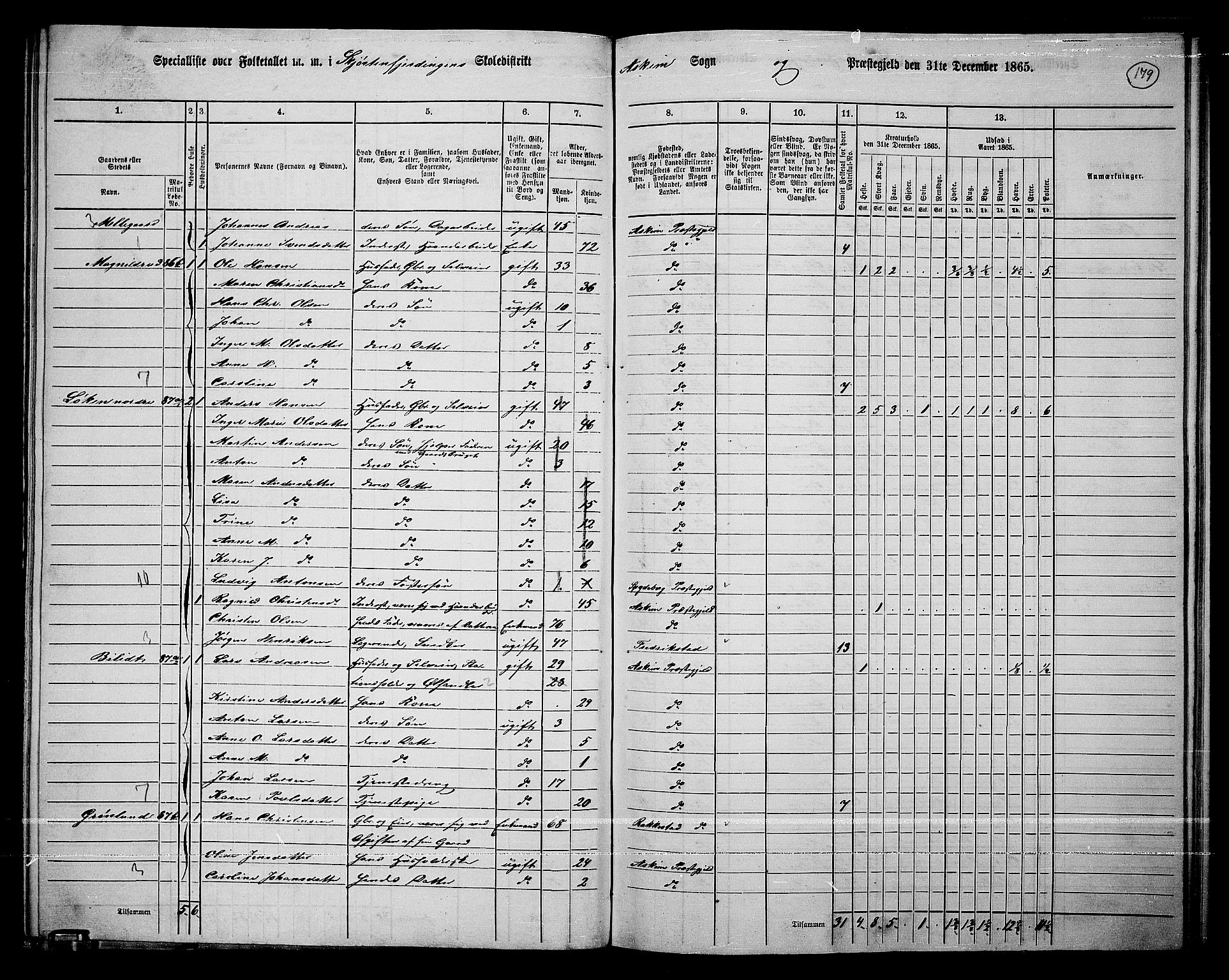 RA, 1865 census for Askim, 1865, p. 39