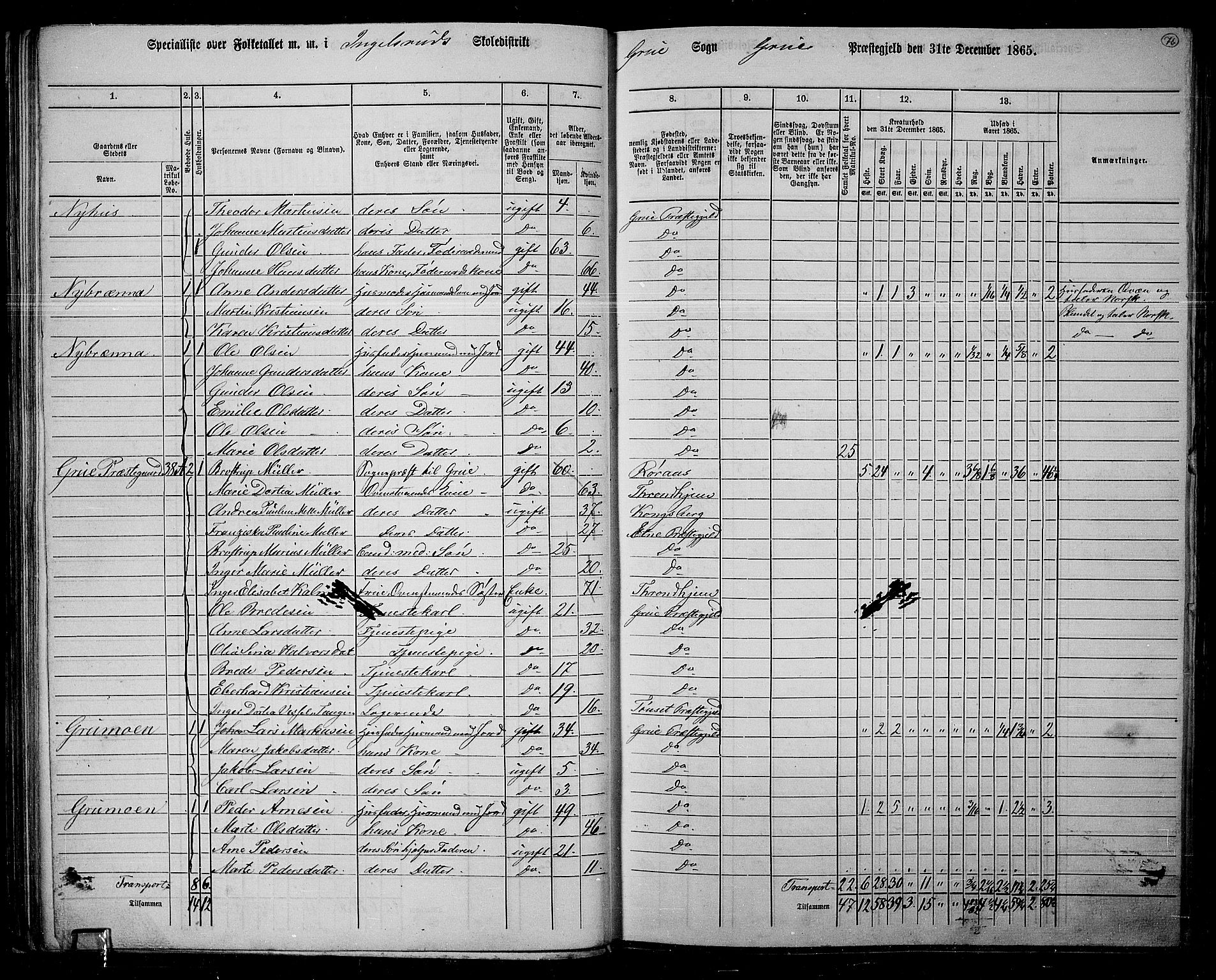 RA, 1865 census for Grue, 1865, p. 66