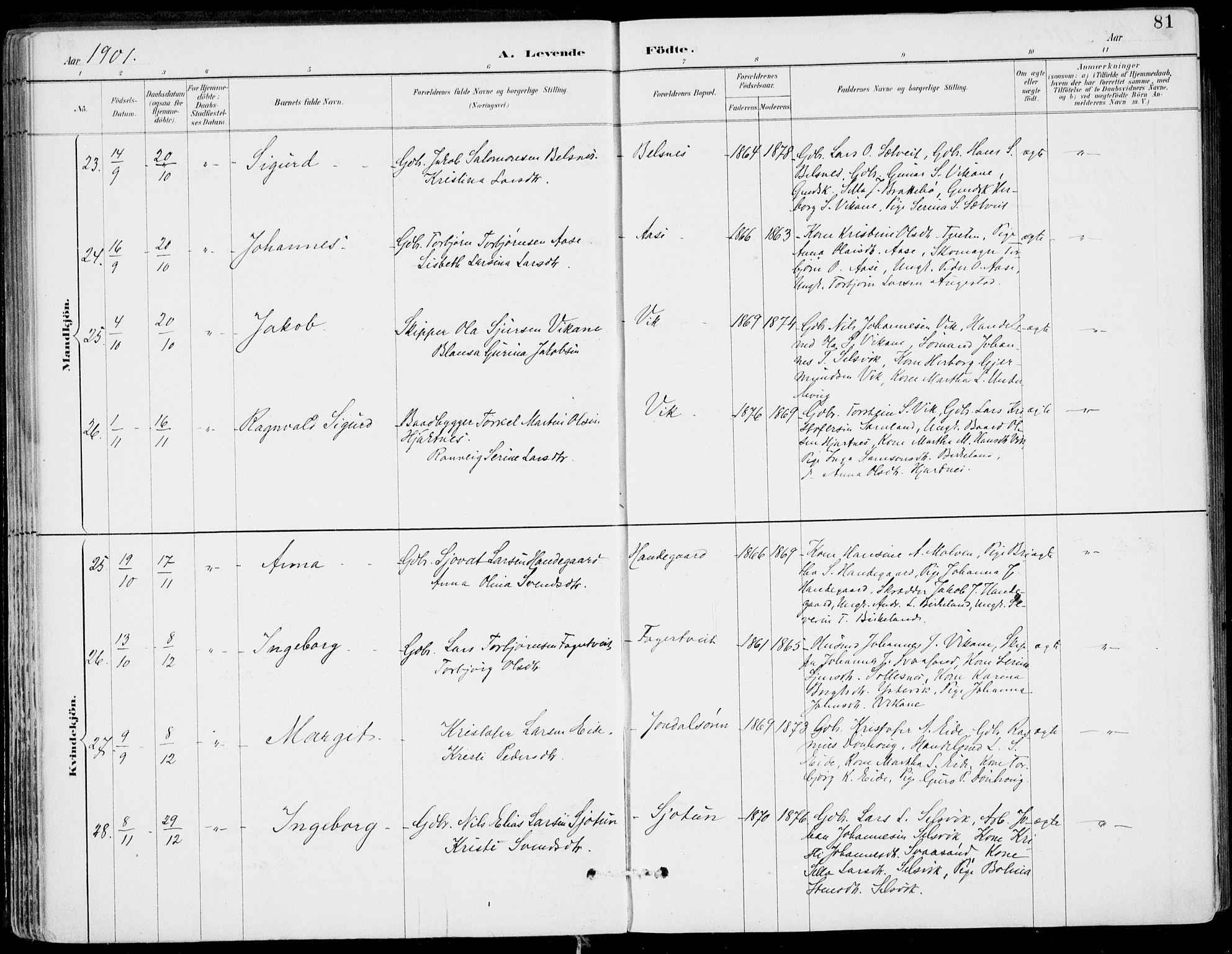 Strandebarm sokneprestembete, AV/SAB-A-78401/H/Haa: Parish register (official) no. E  1, 1886-1908, p. 81