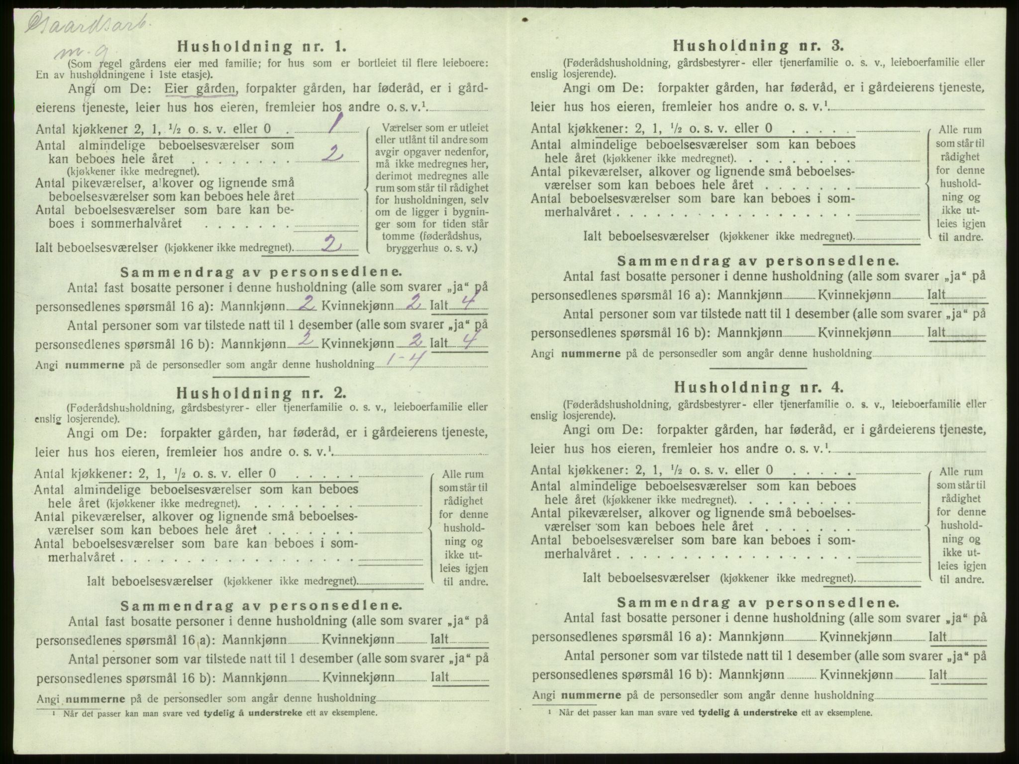 SAB, 1920 census for Lærdal, 1920, p. 505