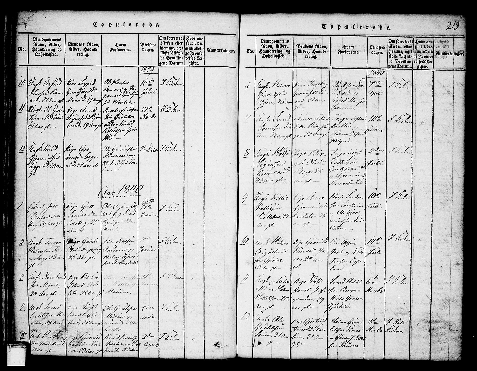 Tinn kirkebøker, SAKO/A-308/G/Ga/L0001: Parish register (copy) no. I 1, 1815-1850, p. 213