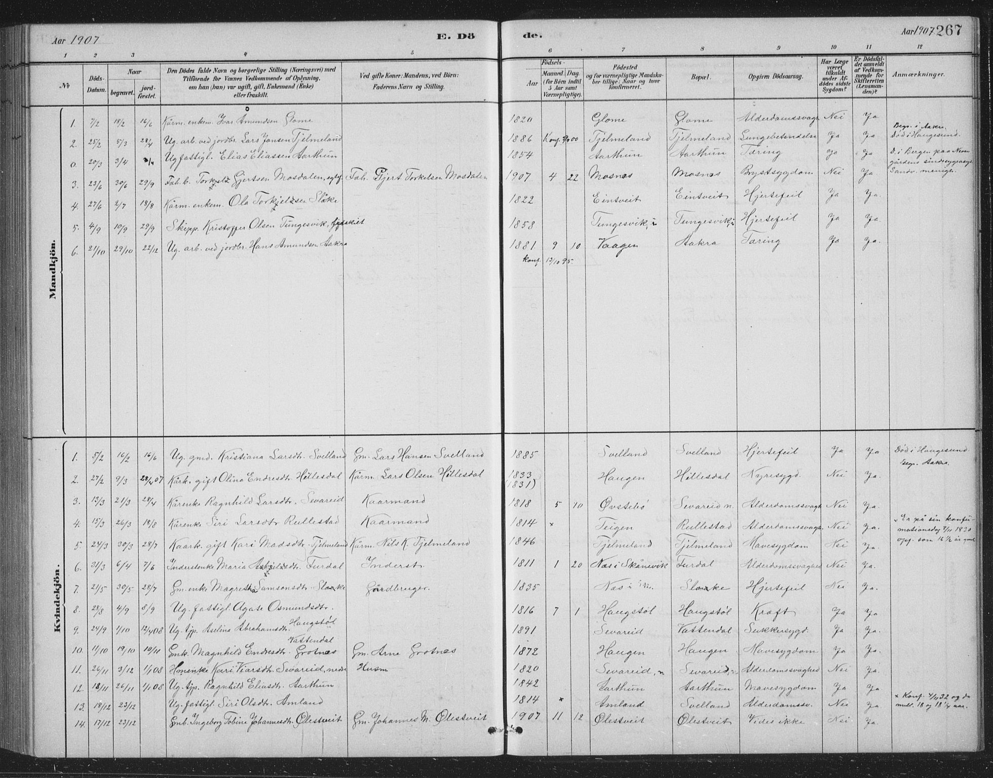 Skånevik sokneprestembete, AV/SAB-A-77801/H/Hab: Parish register (copy) no. B 2, 1881-1920, p. 267