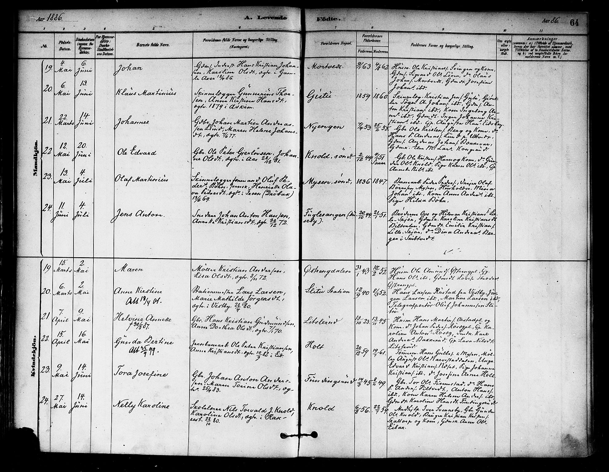 Eidsberg prestekontor Kirkebøker, AV/SAO-A-10905/F/Fa/L0012: Parish register (official) no. I 12, 1879-1901, p. 64