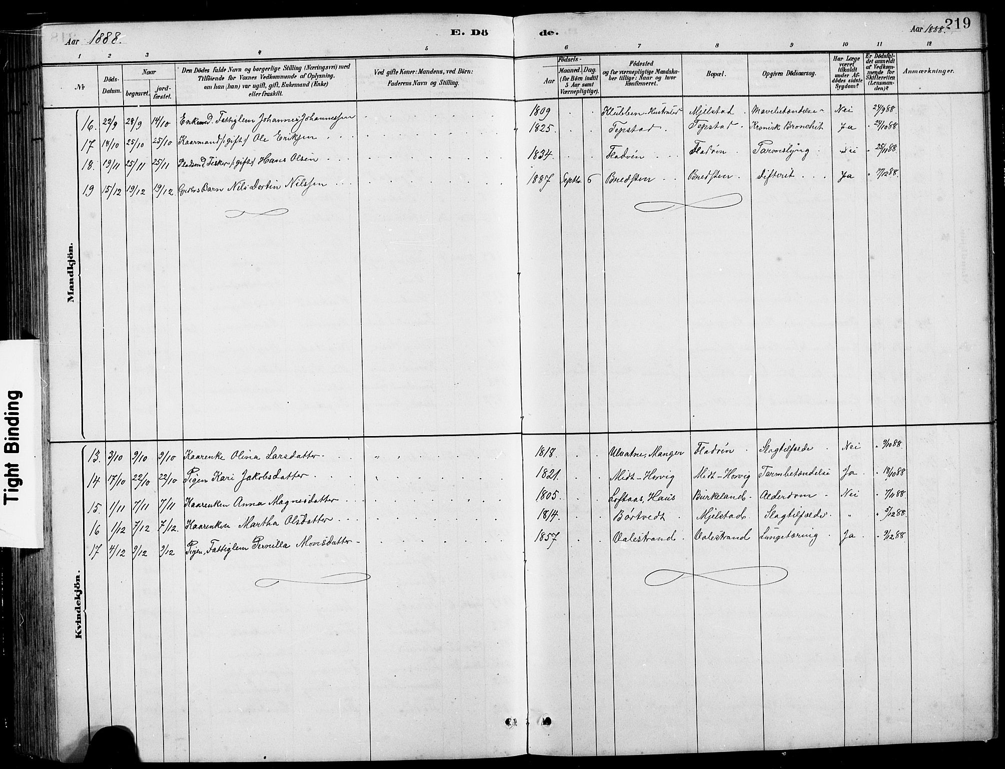 Hamre sokneprestembete, AV/SAB-A-75501/H/Ha/Hab: Parish register (copy) no. B 3, 1881-1898, p. 219