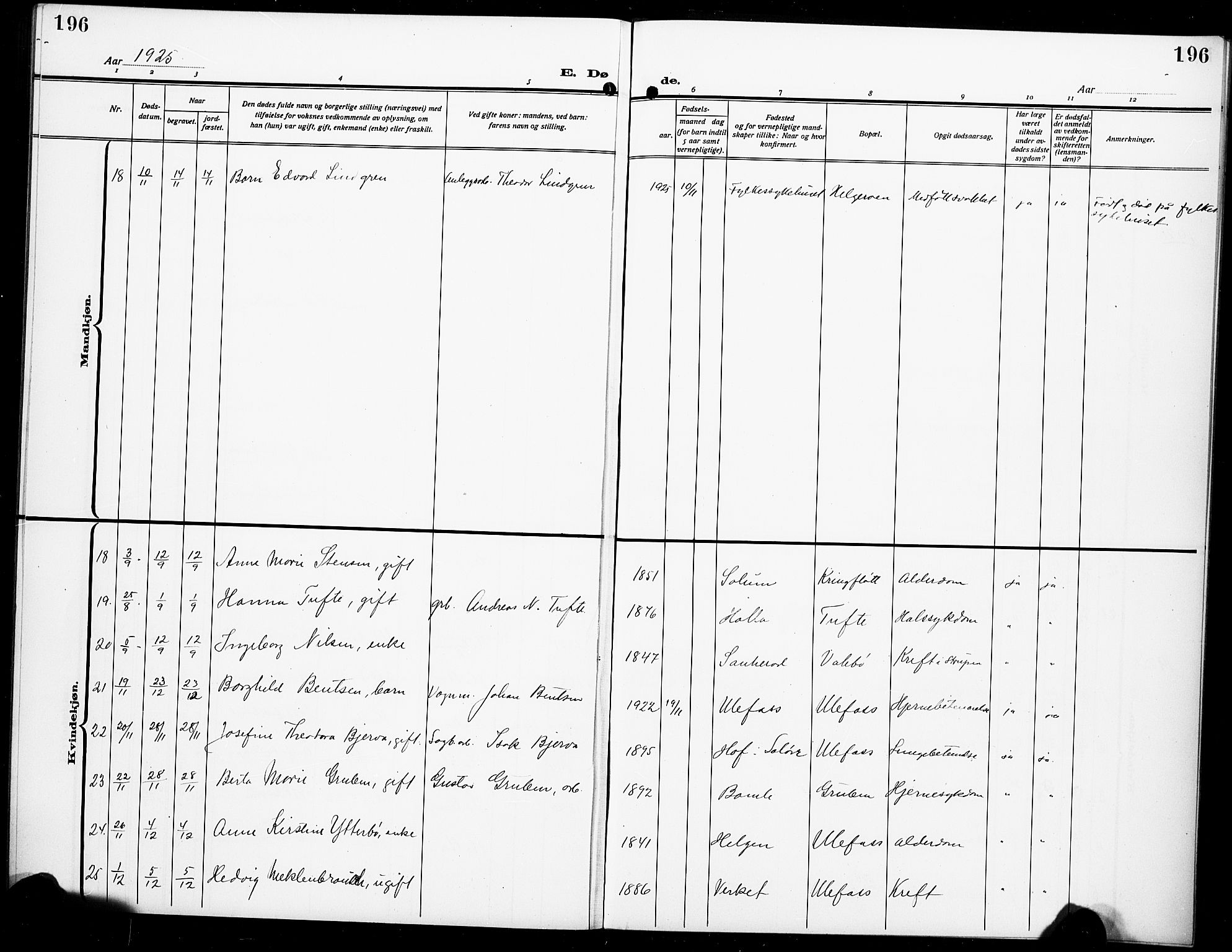 Holla kirkebøker, SAKO/A-272/G/Ga/L0006: Parish register (copy) no. I 6, 1917-1928, p. 196