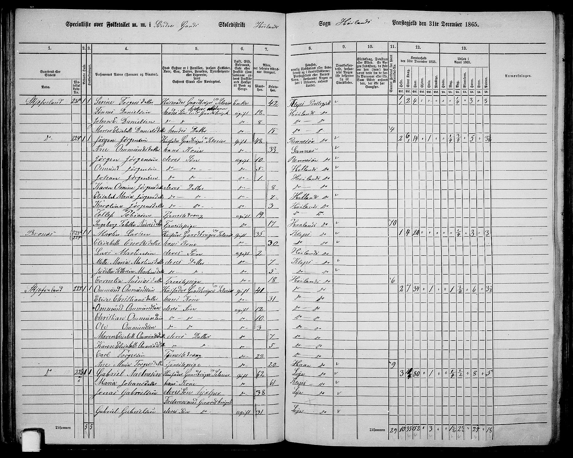 RA, 1865 census for Høyland, 1865, p. 52