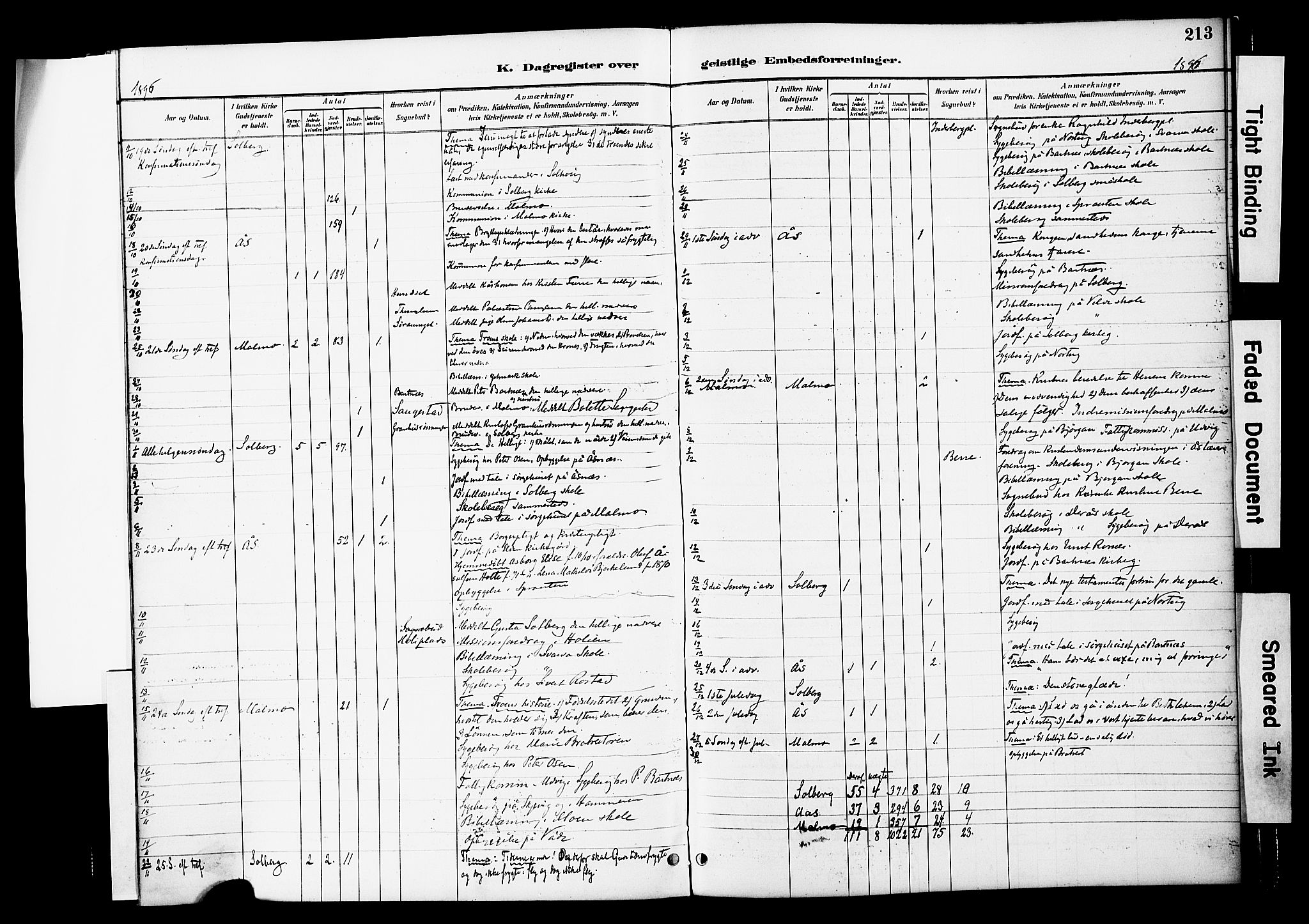 Ministerialprotokoller, klokkerbøker og fødselsregistre - Nord-Trøndelag, SAT/A-1458/741/L0396: Parish register (official) no. 741A10, 1889-1901, p. 213