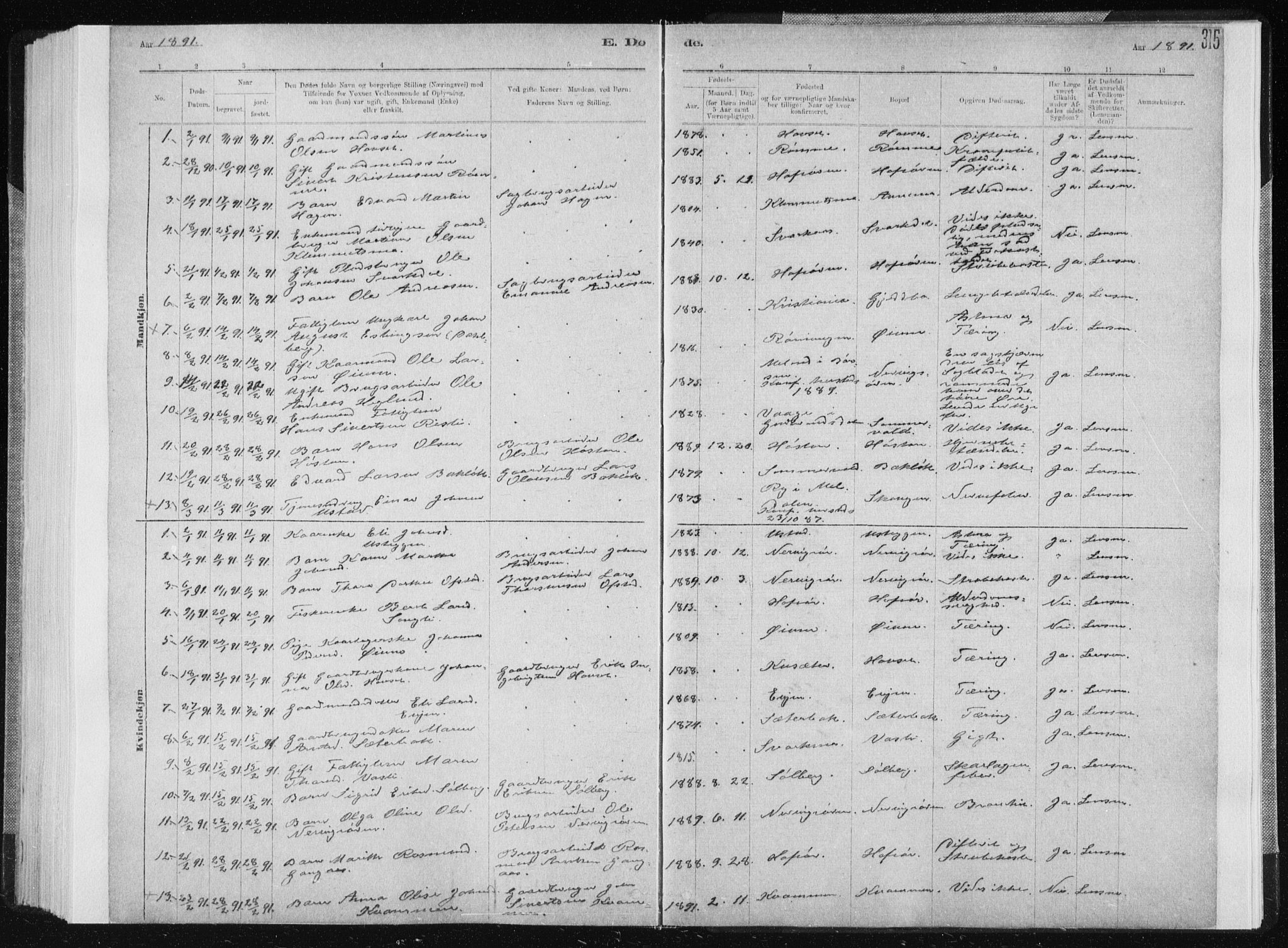 Ministerialprotokoller, klokkerbøker og fødselsregistre - Sør-Trøndelag, AV/SAT-A-1456/668/L0818: Parish register (copy) no. 668C07, 1885-1898, p. 315