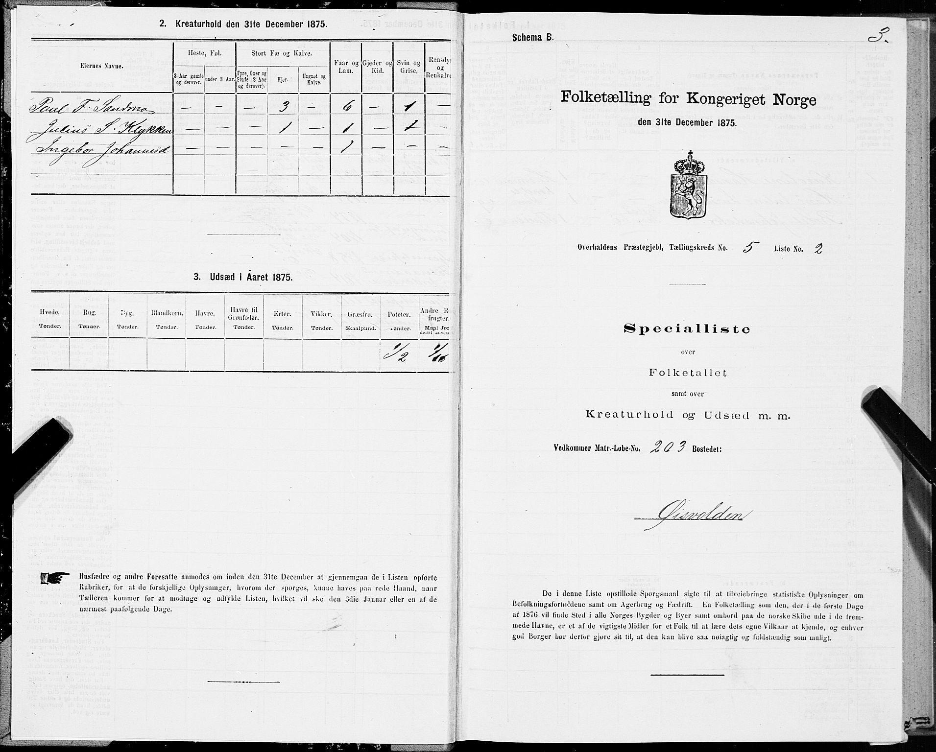 SAT, 1875 census for 1744P Overhalla, 1875, p. 3003