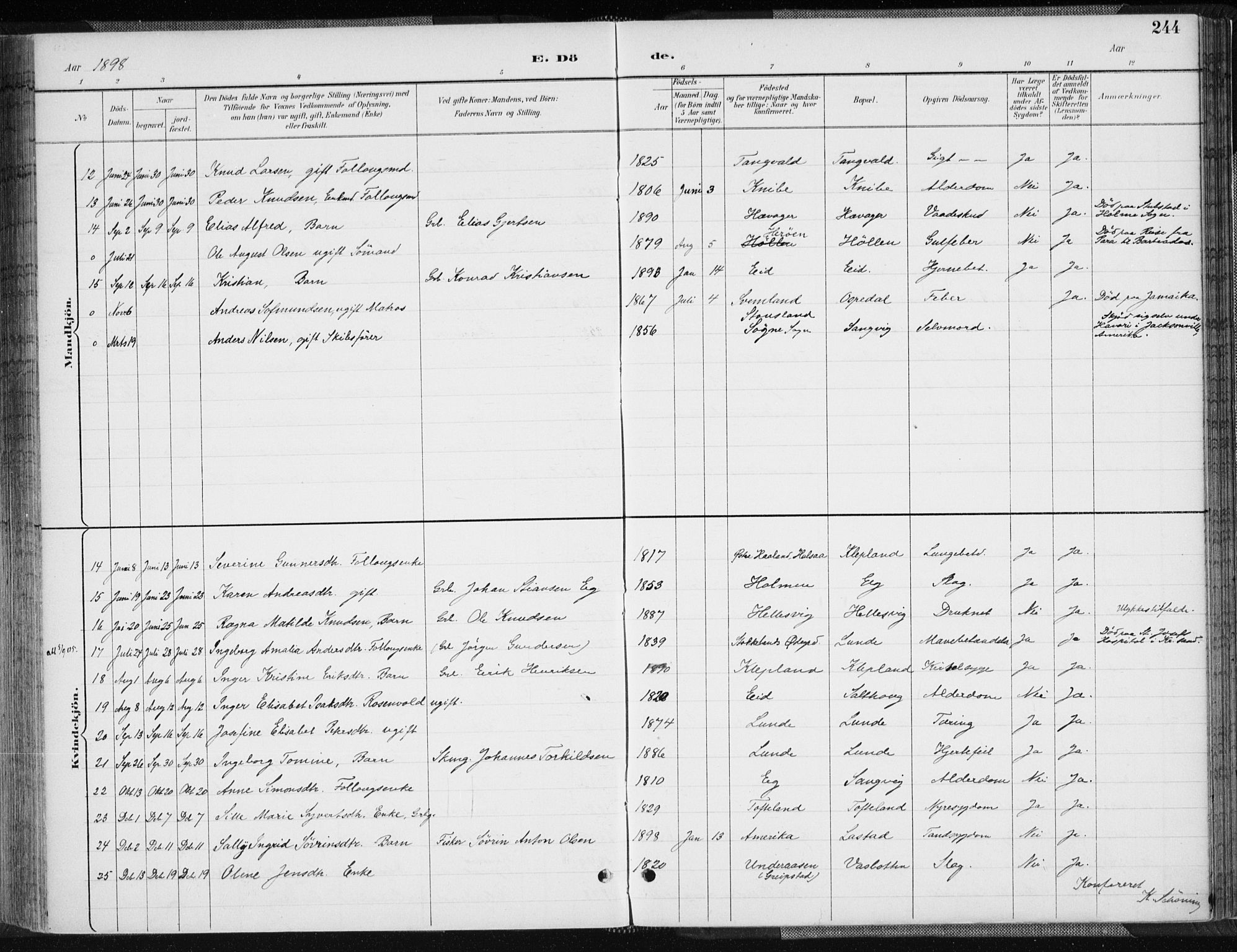 Søgne sokneprestkontor, SAK/1111-0037/F/Fa/Fab/L0013: Parish register (official) no. A 13, 1892-1911, p. 244