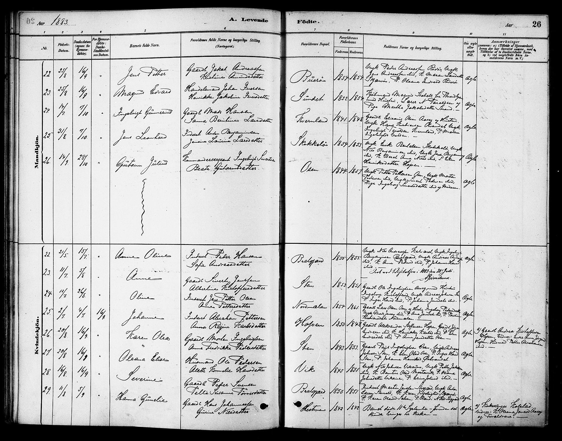 Ministerialprotokoller, klokkerbøker og fødselsregistre - Sør-Trøndelag, AV/SAT-A-1456/658/L0722: Parish register (official) no. 658A01, 1879-1896, p. 26