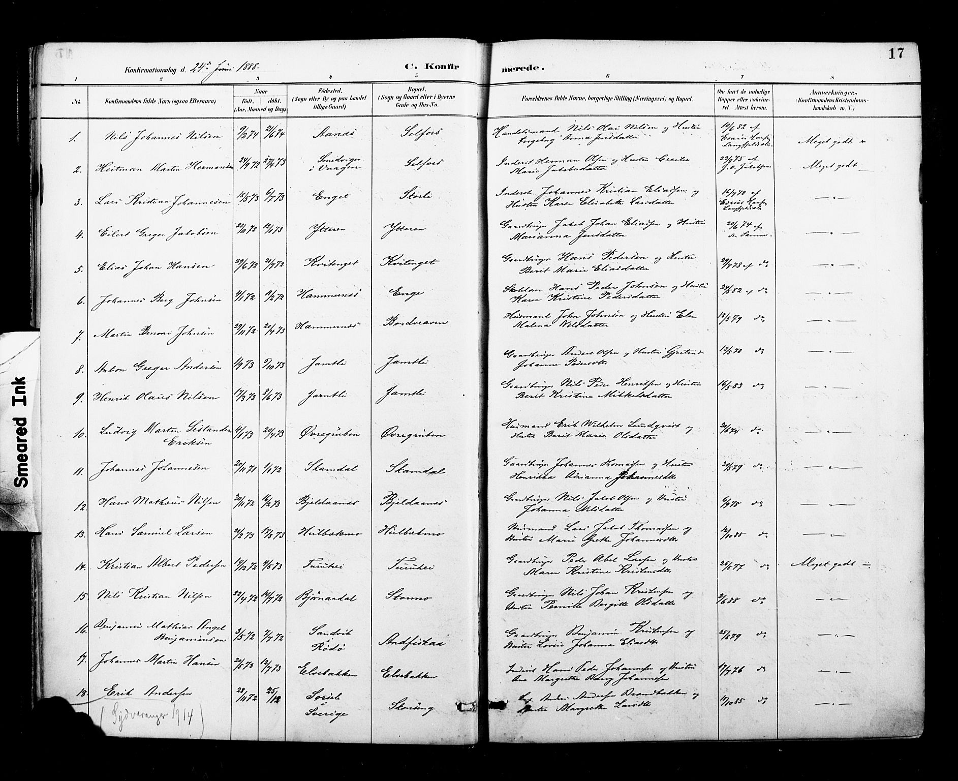 Ministerialprotokoller, klokkerbøker og fødselsregistre - Nordland, SAT/A-1459/827/L0401: Parish register (official) no. 827A13, 1887-1905, p. 17