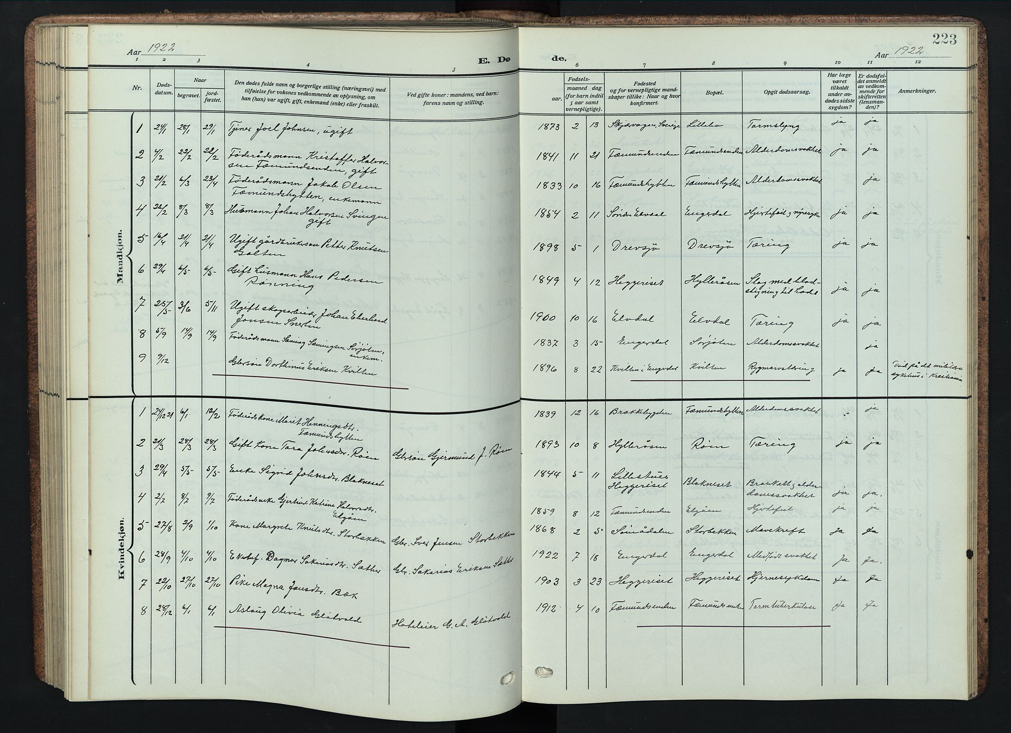 Engerdal prestekontor, AV/SAH-PREST-048/H/Ha/Hab/L0001: Parish register (copy) no. 1, 1911-1947, p. 223