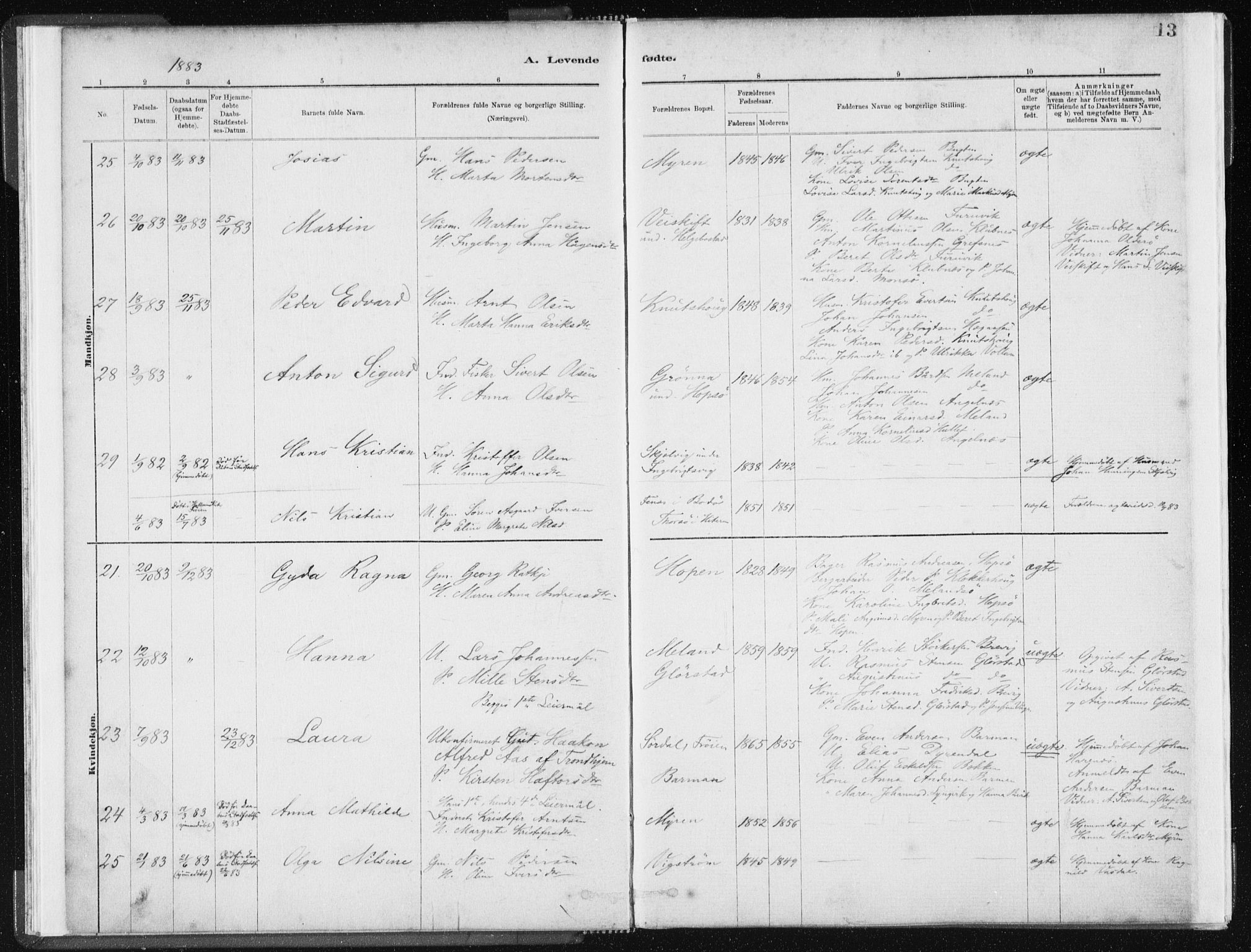 Ministerialprotokoller, klokkerbøker og fødselsregistre - Sør-Trøndelag, SAT/A-1456/634/L0533: Parish register (official) no. 634A09, 1882-1901, p. 13