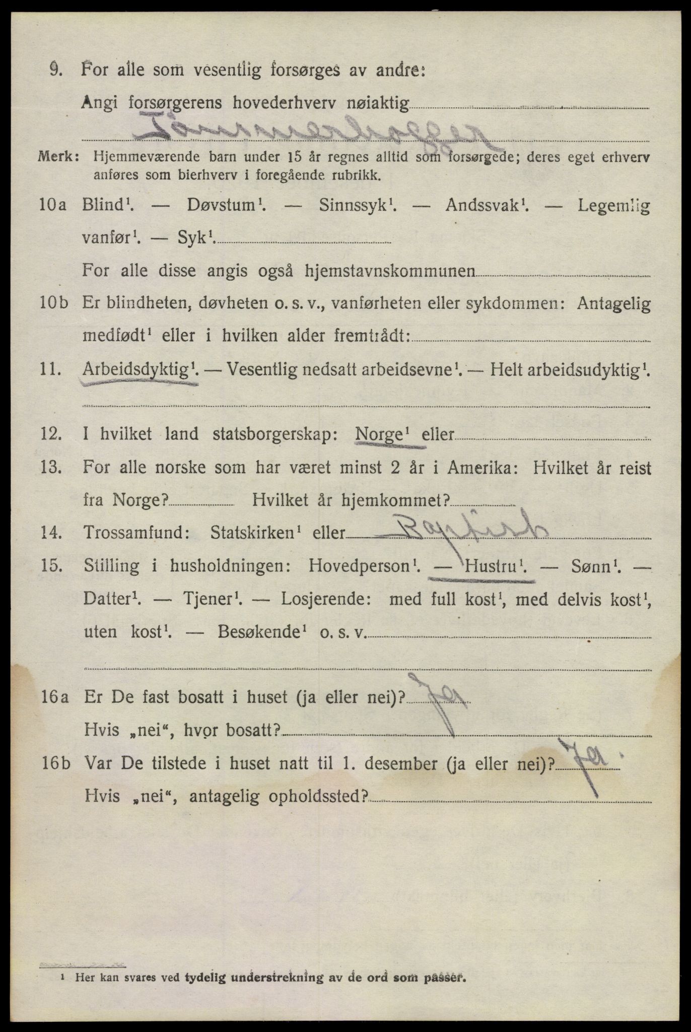 SAO, 1920 census for Fet, 1920, p. 8993