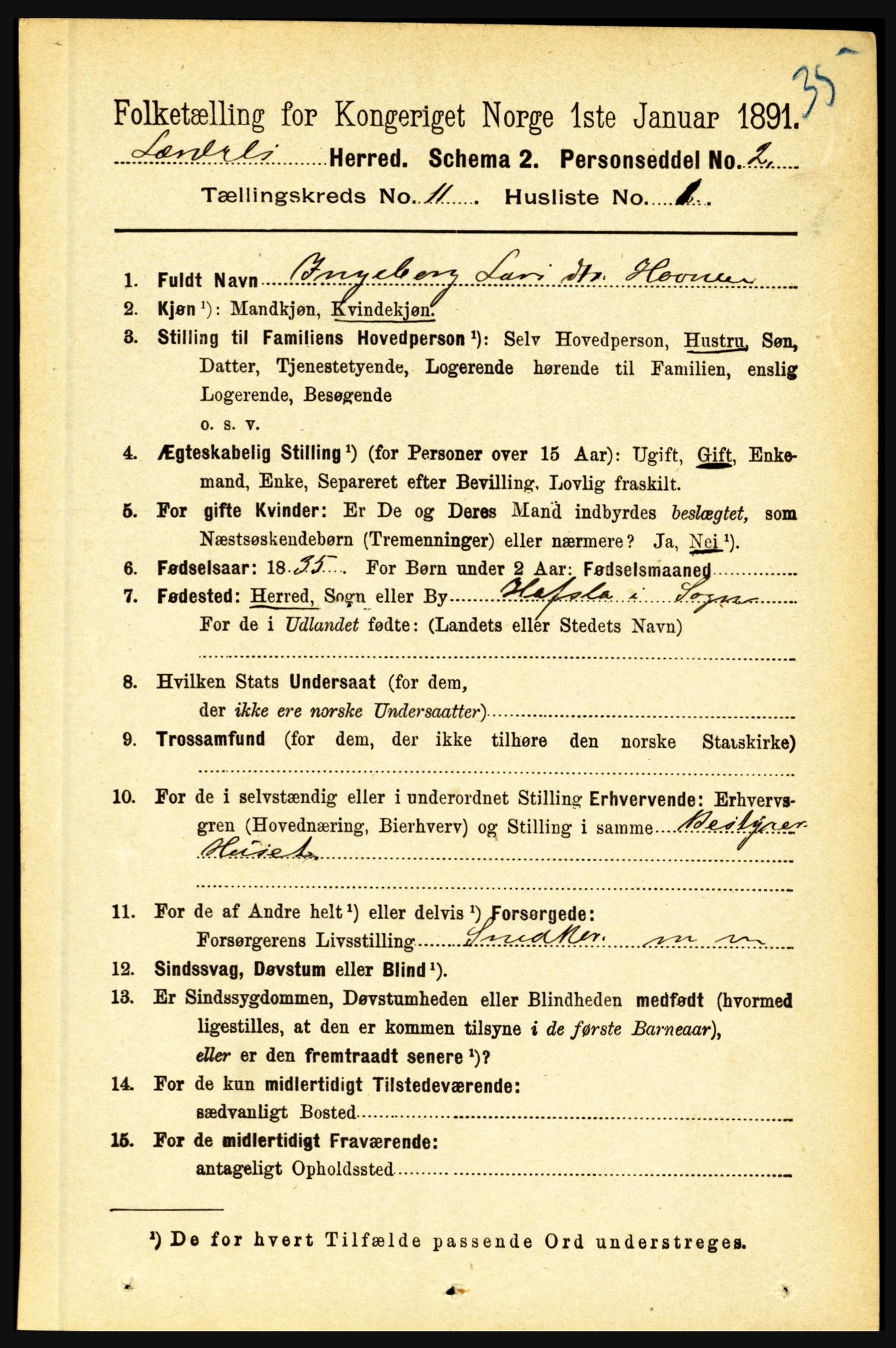 RA, 1891 census for 1422 Lærdal, 1891, p. 2165