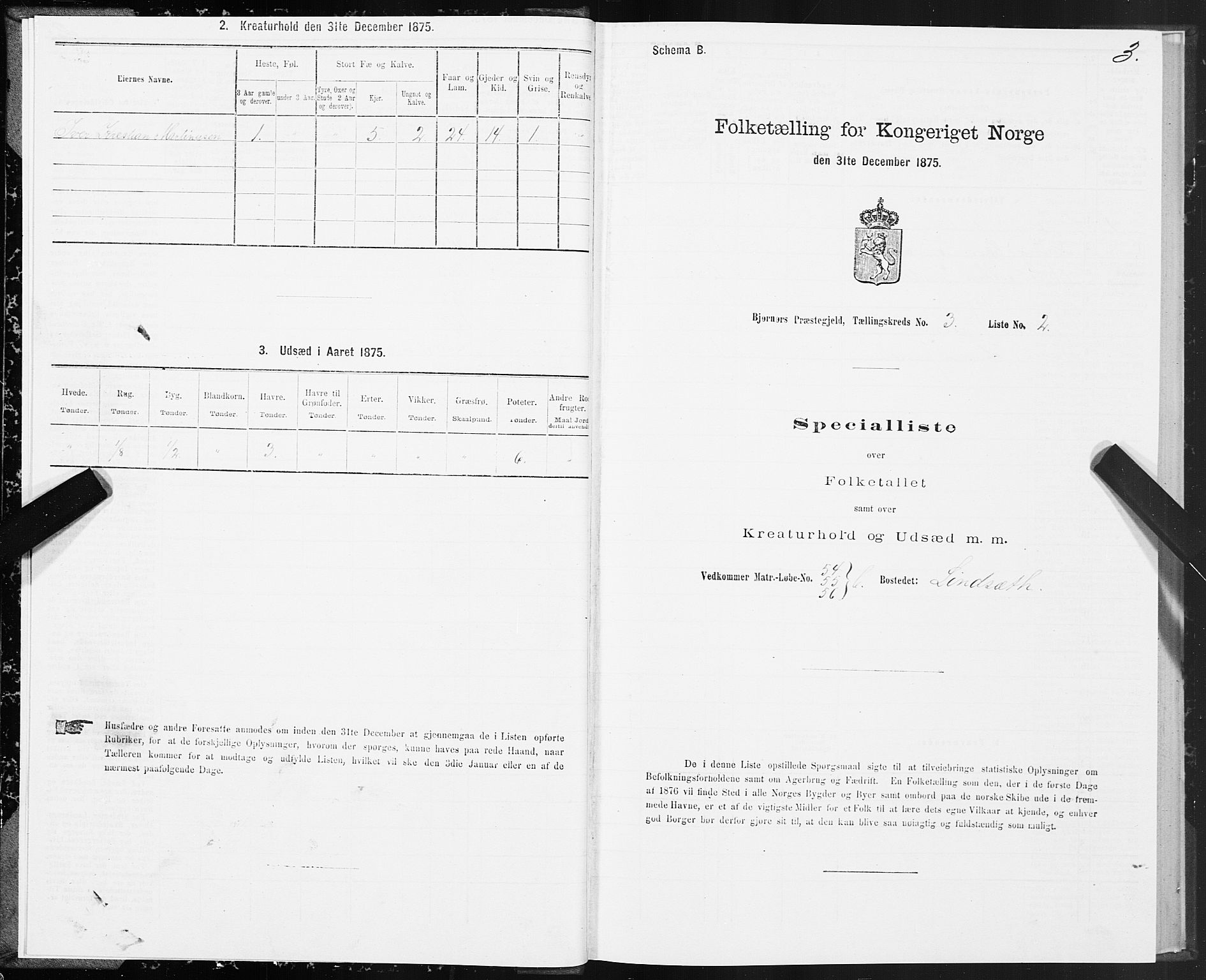 SAT, 1875 census for 1632P Bjørnør, 1875, p. 2003