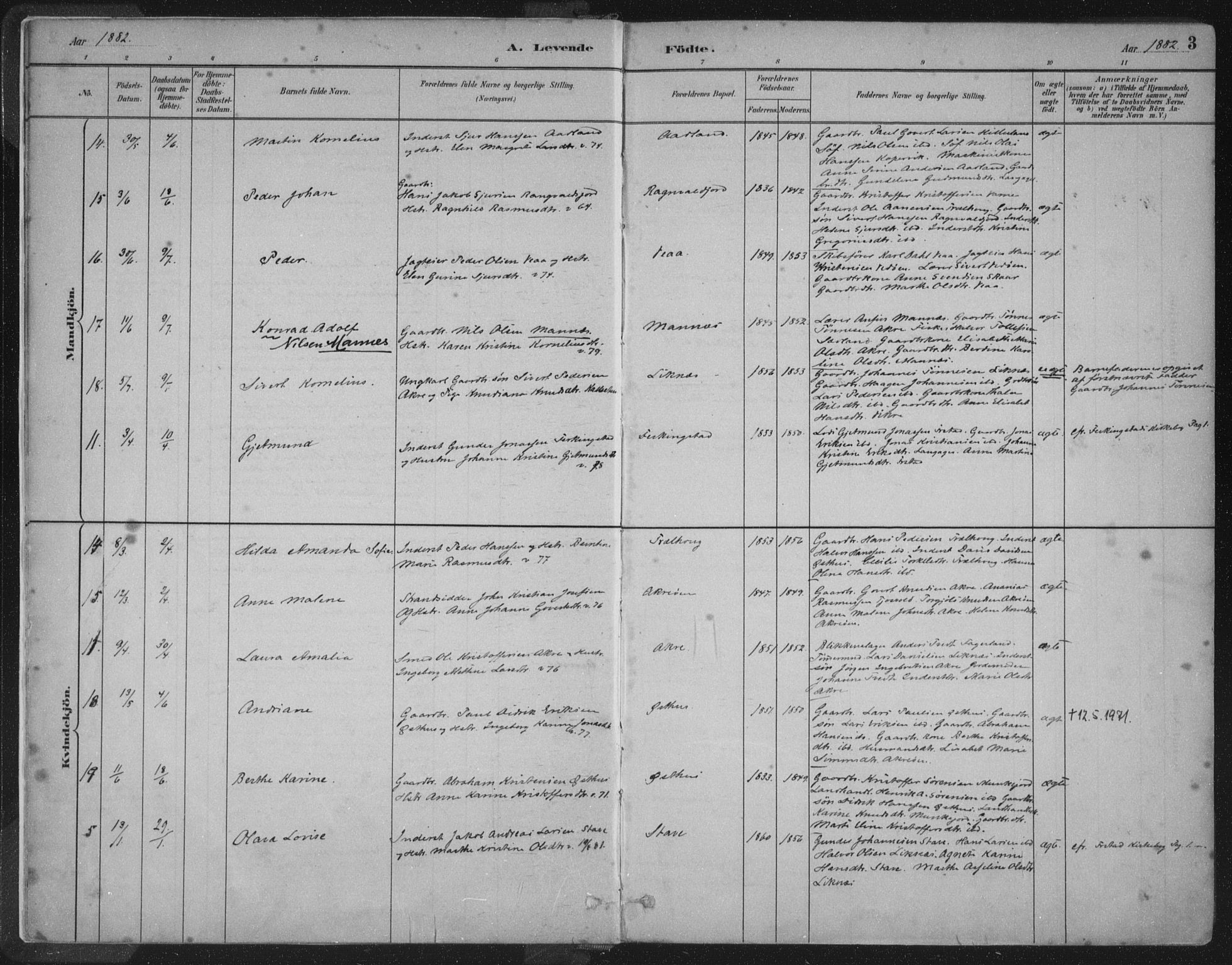 Kopervik sokneprestkontor, AV/SAST-A-101850/H/Ha/Haa/L0004: Parish register (official) no. A 4, 1882-1905, p. 3