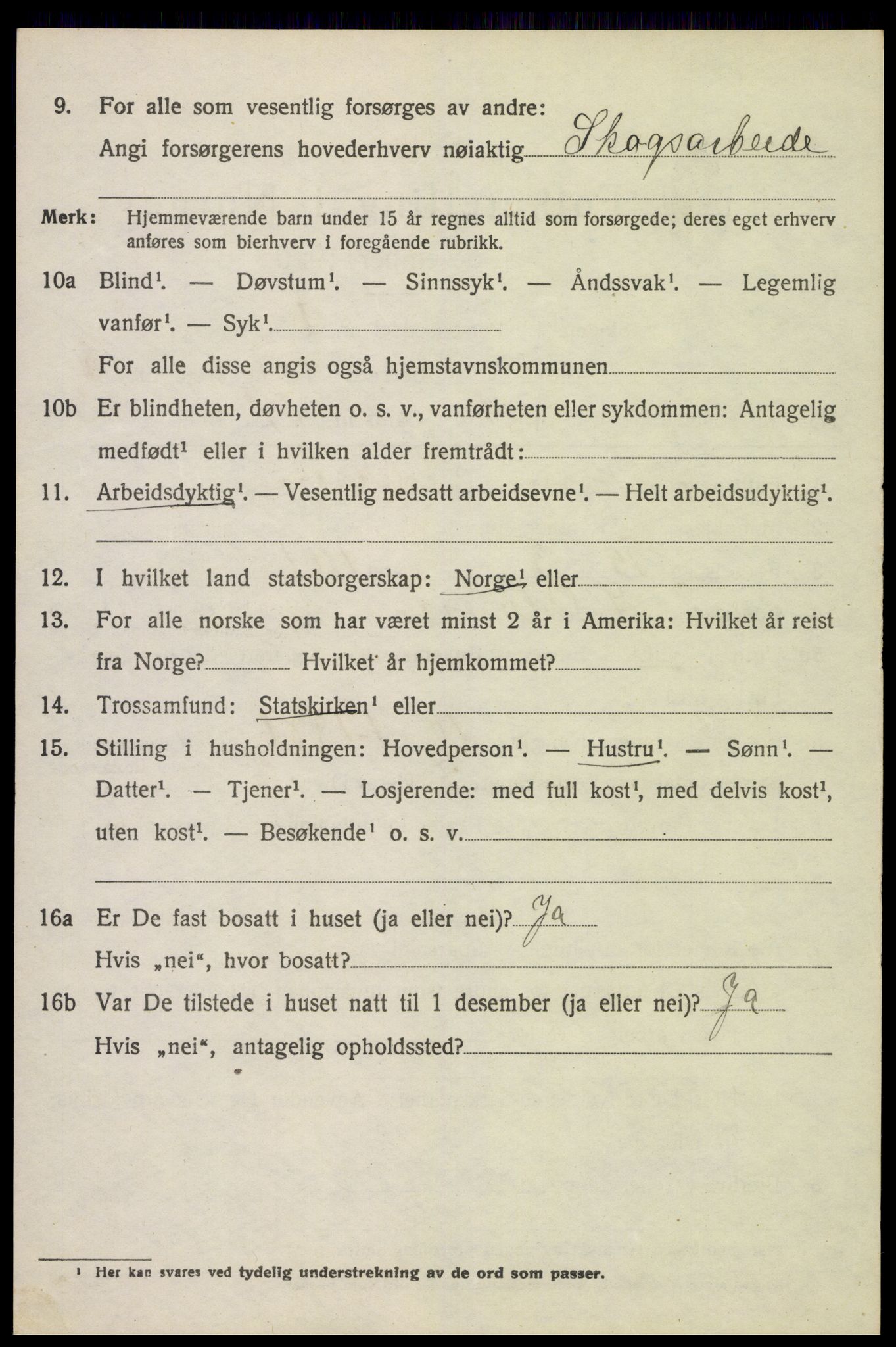 SAH, 1920 census for Sør-Odal, 1920, p. 5020