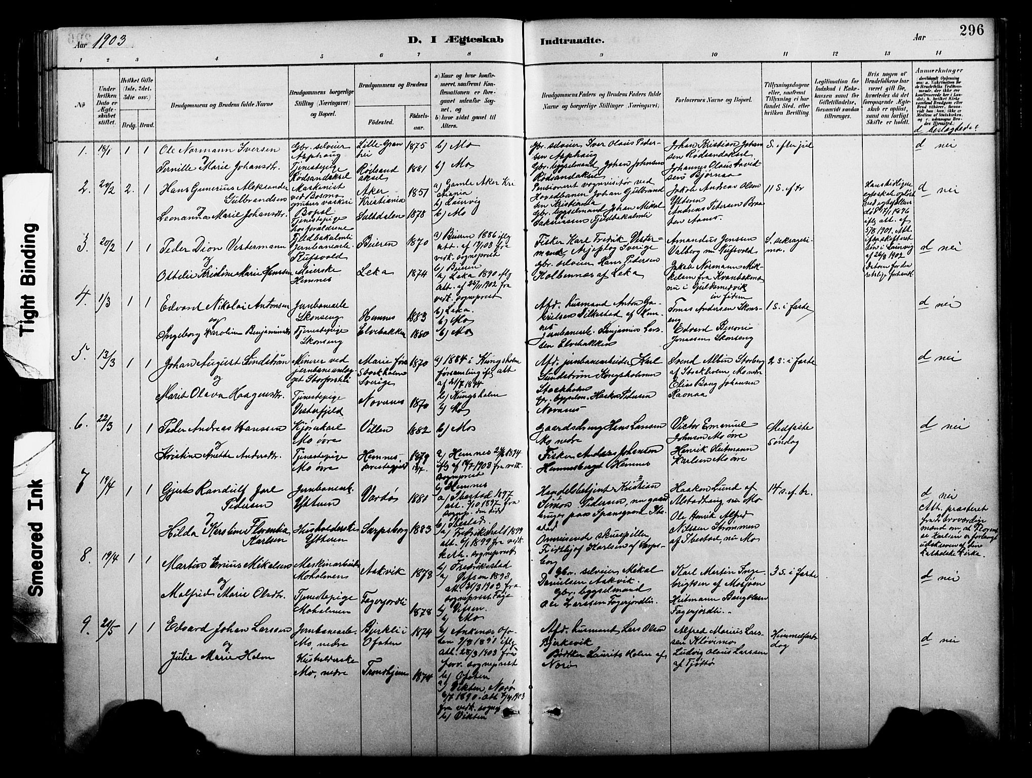 Ministerialprotokoller, klokkerbøker og fødselsregistre - Nordland, SAT/A-1459/827/L0421: Parish register (copy) no. 827C10, 1887-1906, p. 296
