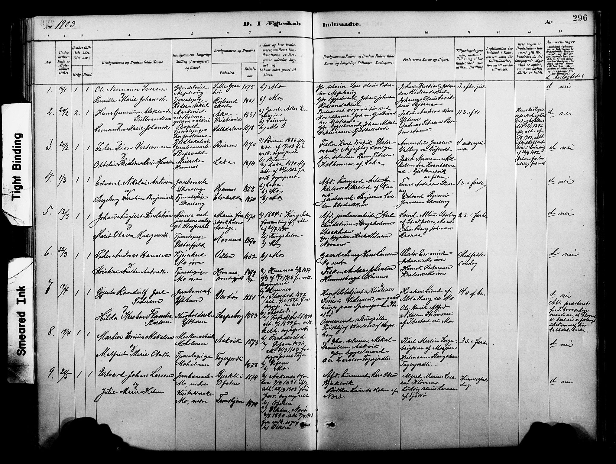 Ministerialprotokoller, klokkerbøker og fødselsregistre - Nordland, AV/SAT-A-1459/827/L0421: Parish register (copy) no. 827C10, 1887-1906, p. 296