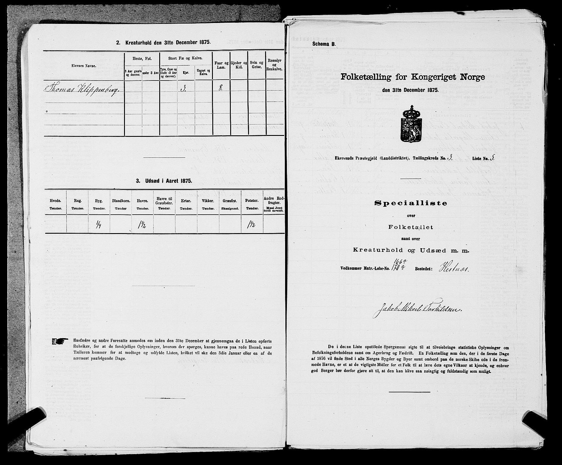 SAST, 1875 census for 1116L Eigersund/Eigersund og Ogna, 1875, p. 344