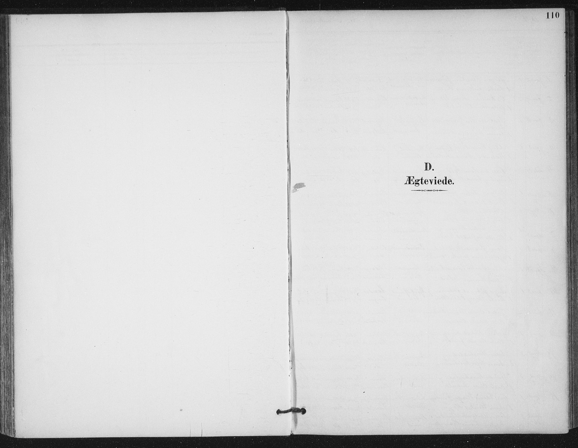 Ministerialprotokoller, klokkerbøker og fødselsregistre - Møre og Romsdal, AV/SAT-A-1454/529/L0457: Parish register (official) no. 529A07, 1894-1903, p. 110