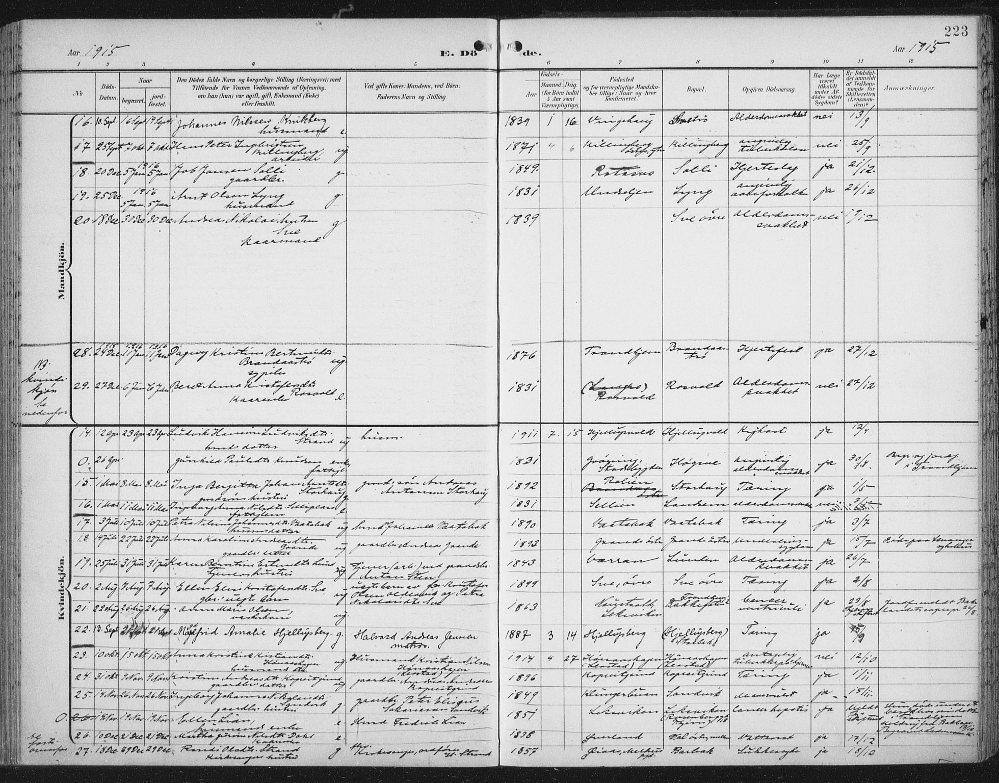 Ministerialprotokoller, klokkerbøker og fødselsregistre - Nord-Trøndelag, AV/SAT-A-1458/701/L0011: Parish register (official) no. 701A11, 1899-1915, p. 223