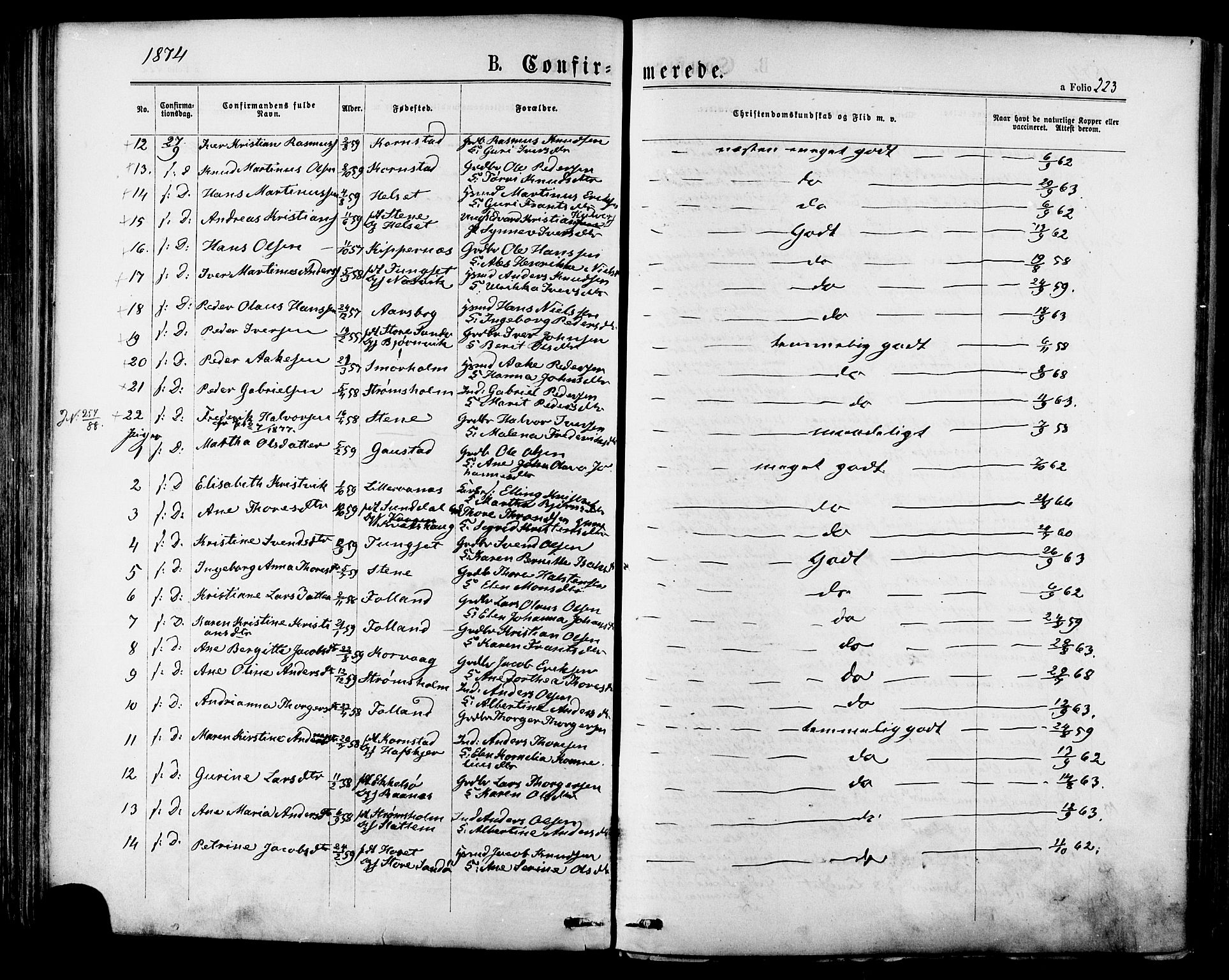 Ministerialprotokoller, klokkerbøker og fødselsregistre - Møre og Romsdal, SAT/A-1454/568/L0805: Parish register (official) no. 568A12 /1, 1869-1884, p. 223