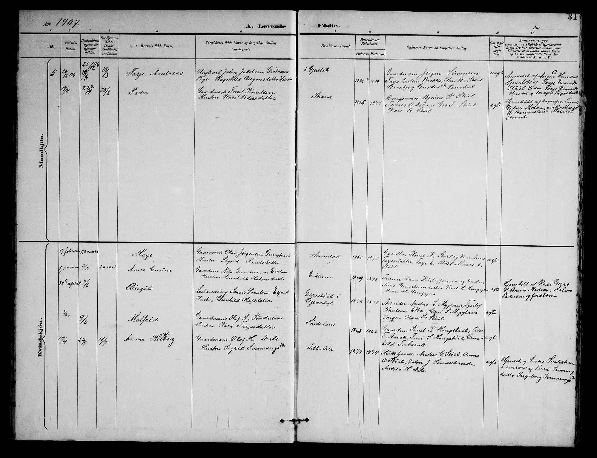 Nissedal kirkebøker, SAKO/A-288/G/Gb/L0003: Parish register (copy) no. II 3, 1893-1928, p. 31