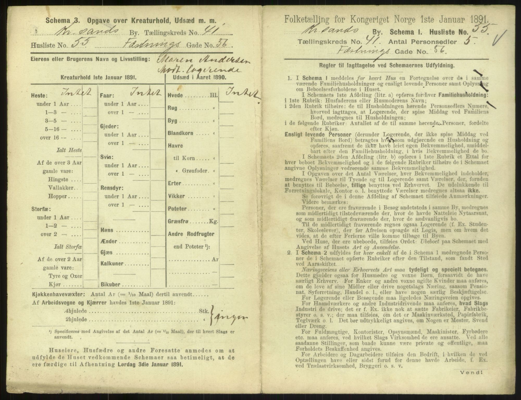 RA, 1891 census for 1001 Kristiansand, 1891, p. 2278