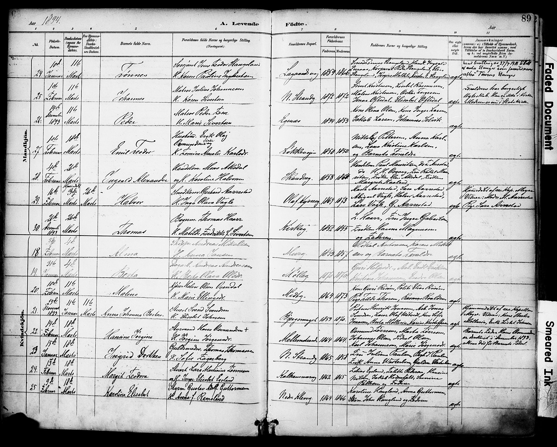 Domkirken sokneprestkontor, AV/SAST-A-101812/001/30/30BA/L0030: Parish register (official) no. A 29, 1889-1902, p. 89