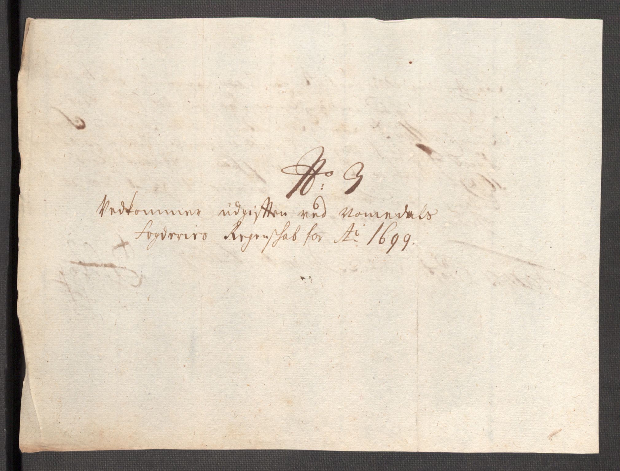 Rentekammeret inntil 1814, Reviderte regnskaper, Fogderegnskap, AV/RA-EA-4092/R64/L4426: Fogderegnskap Namdal, 1699-1700, p. 165