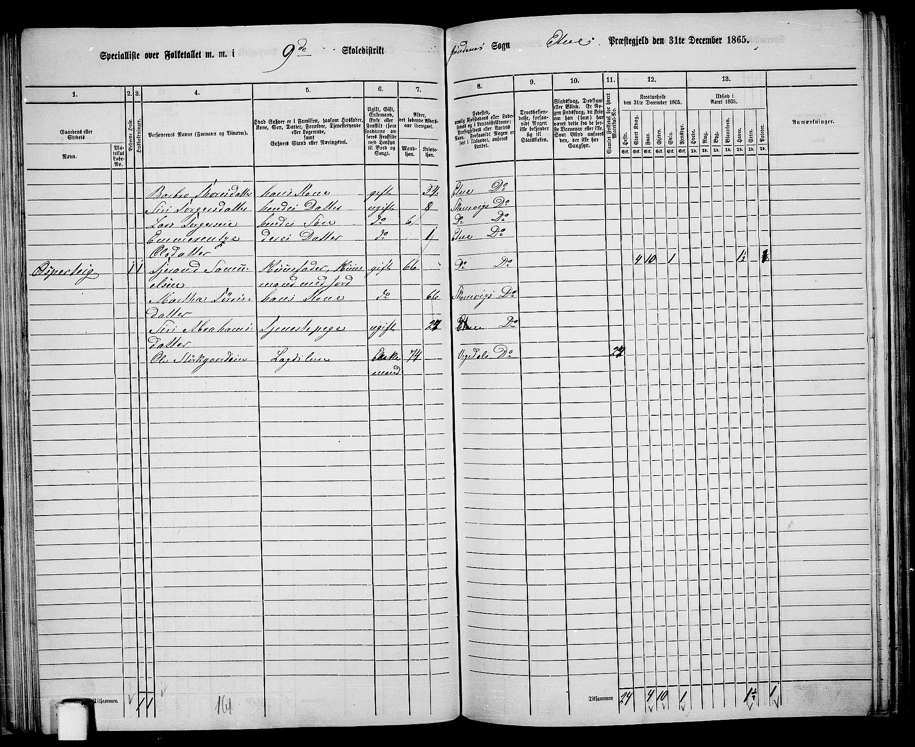 RA, 1865 census for Etne, 1865, p. 62