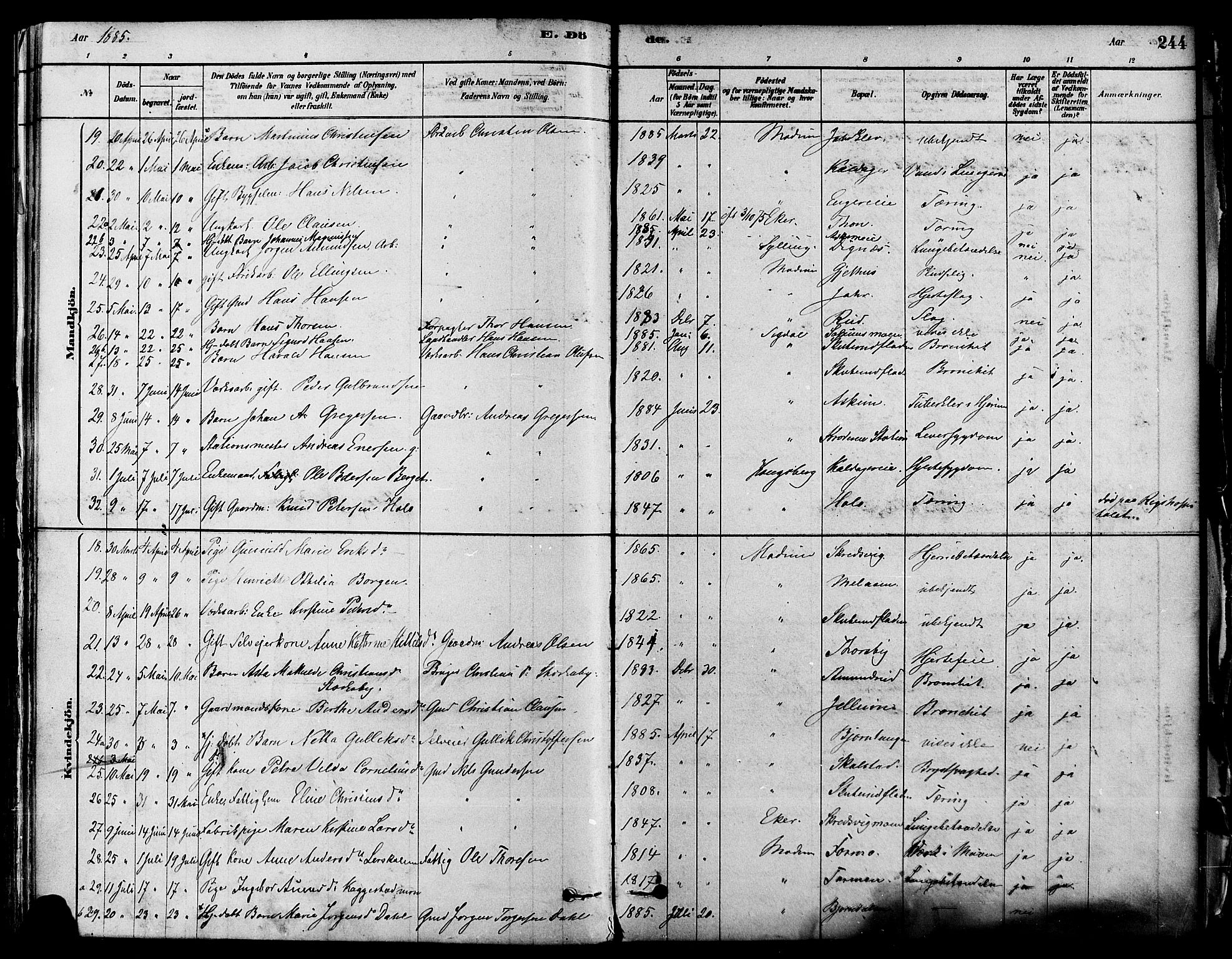 Modum kirkebøker, AV/SAKO-A-234/F/Fa/L0011: Parish register (official) no. 11, 1877-1889, p. 244