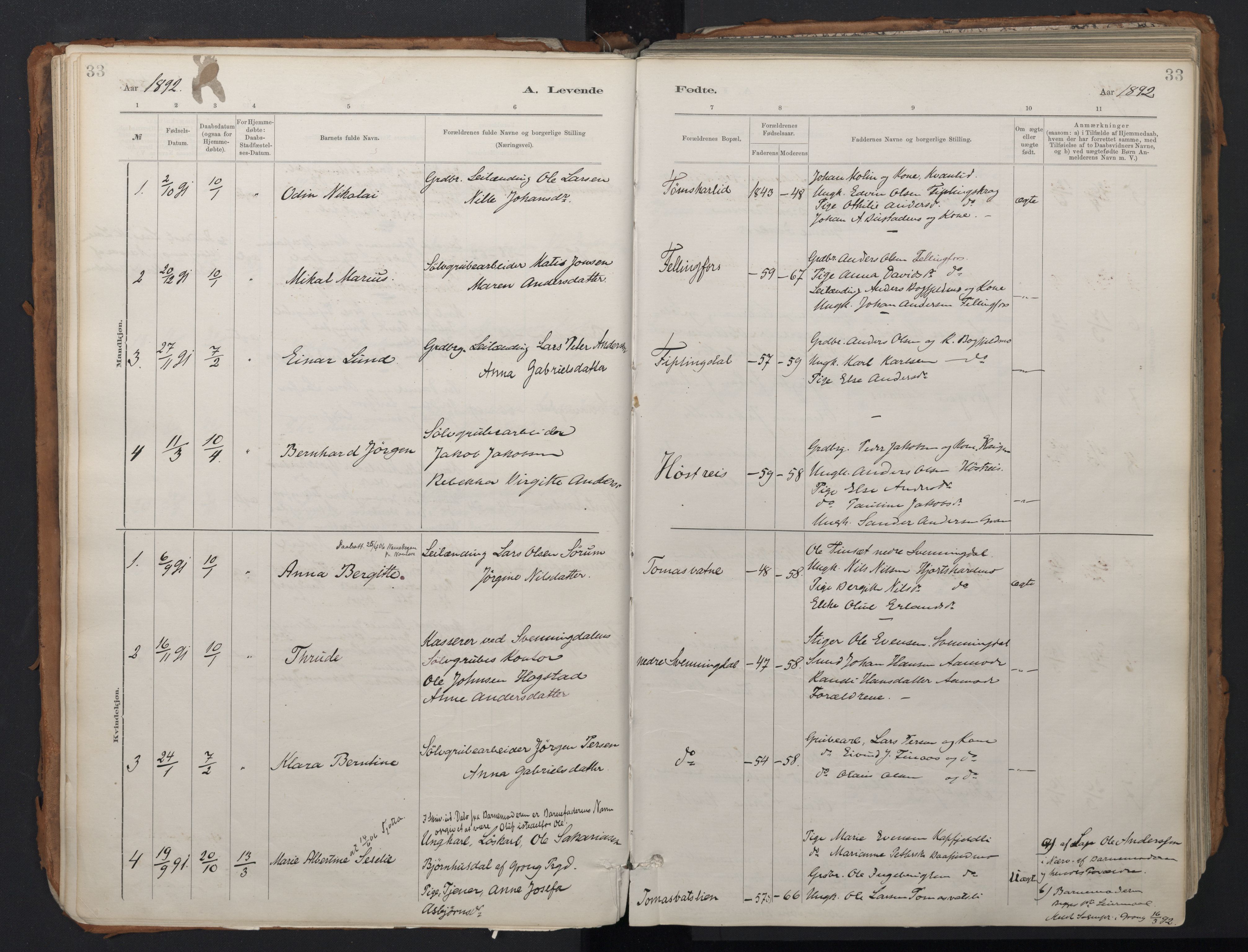 Ministerialprotokoller, klokkerbøker og fødselsregistre - Nordland, SAT/A-1459/824/L0338: Parish register (official) no. 824A01, 1880-1915, p. 33