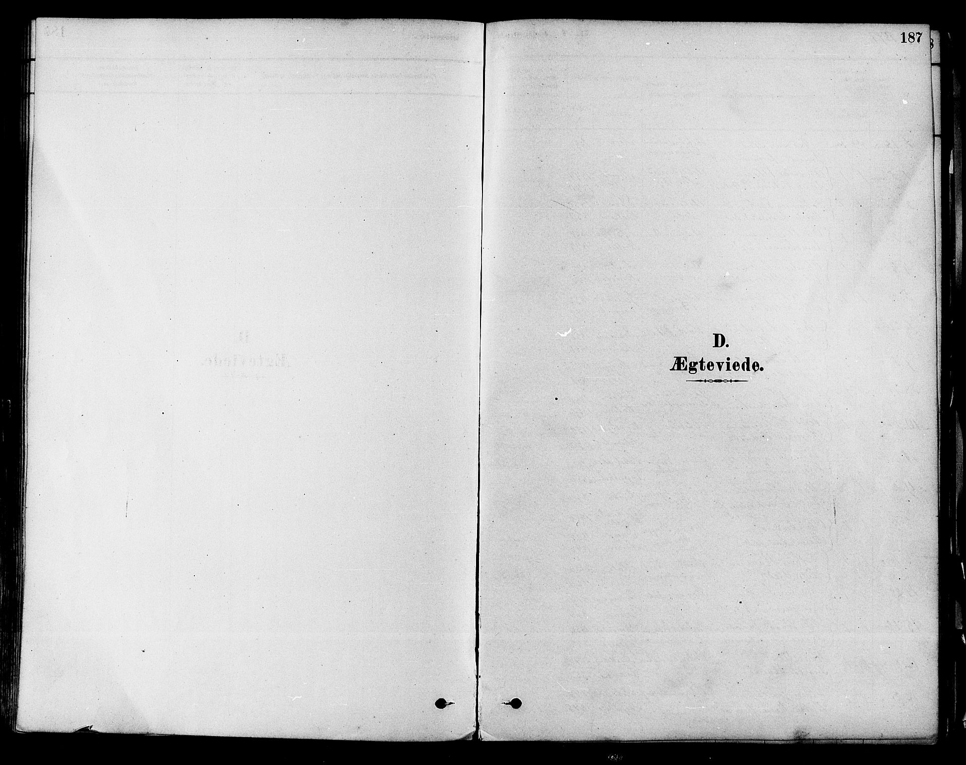 Modum kirkebøker, AV/SAKO-A-234/F/Fa/L0011: Parish register (official) no. 11, 1877-1889, p. 187