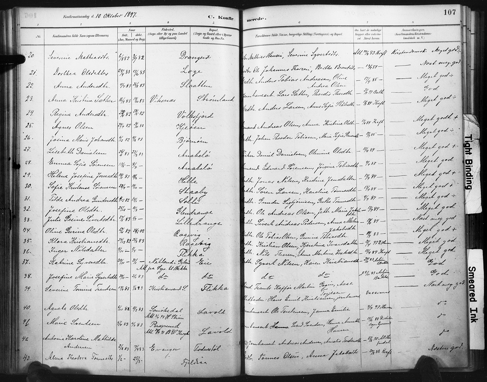 Flekkefjord sokneprestkontor, AV/SAK-1111-0012/F/Fa/Fac/L0008: Parish register (official) no. A 8, 1885-1898, p. 107